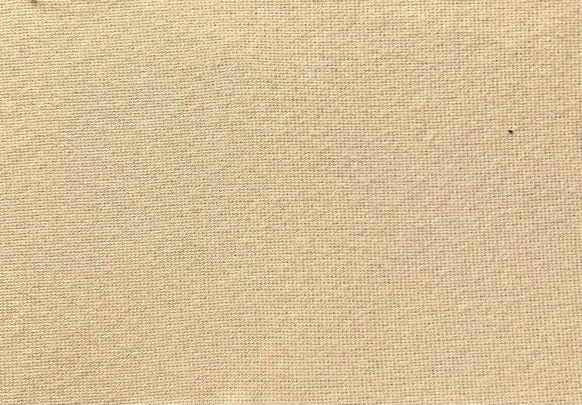 4117 Light Sand 8x10 Sheet