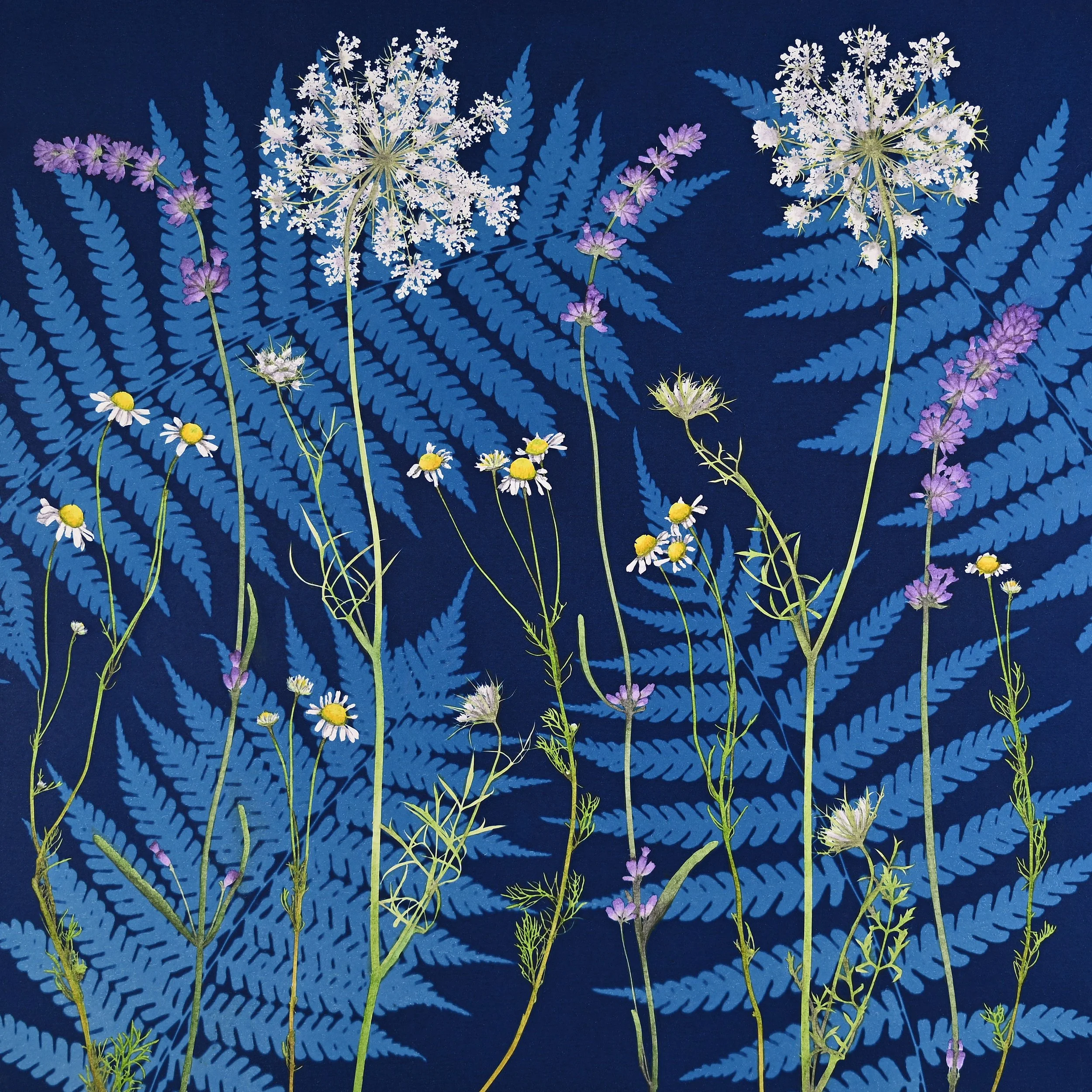 Interlaced in Blue, 2026 Cyanotype on watercolor paper, hand-painted with watercolor and gouache, mounted on panel
12x12 inches - one-of-a-kind original