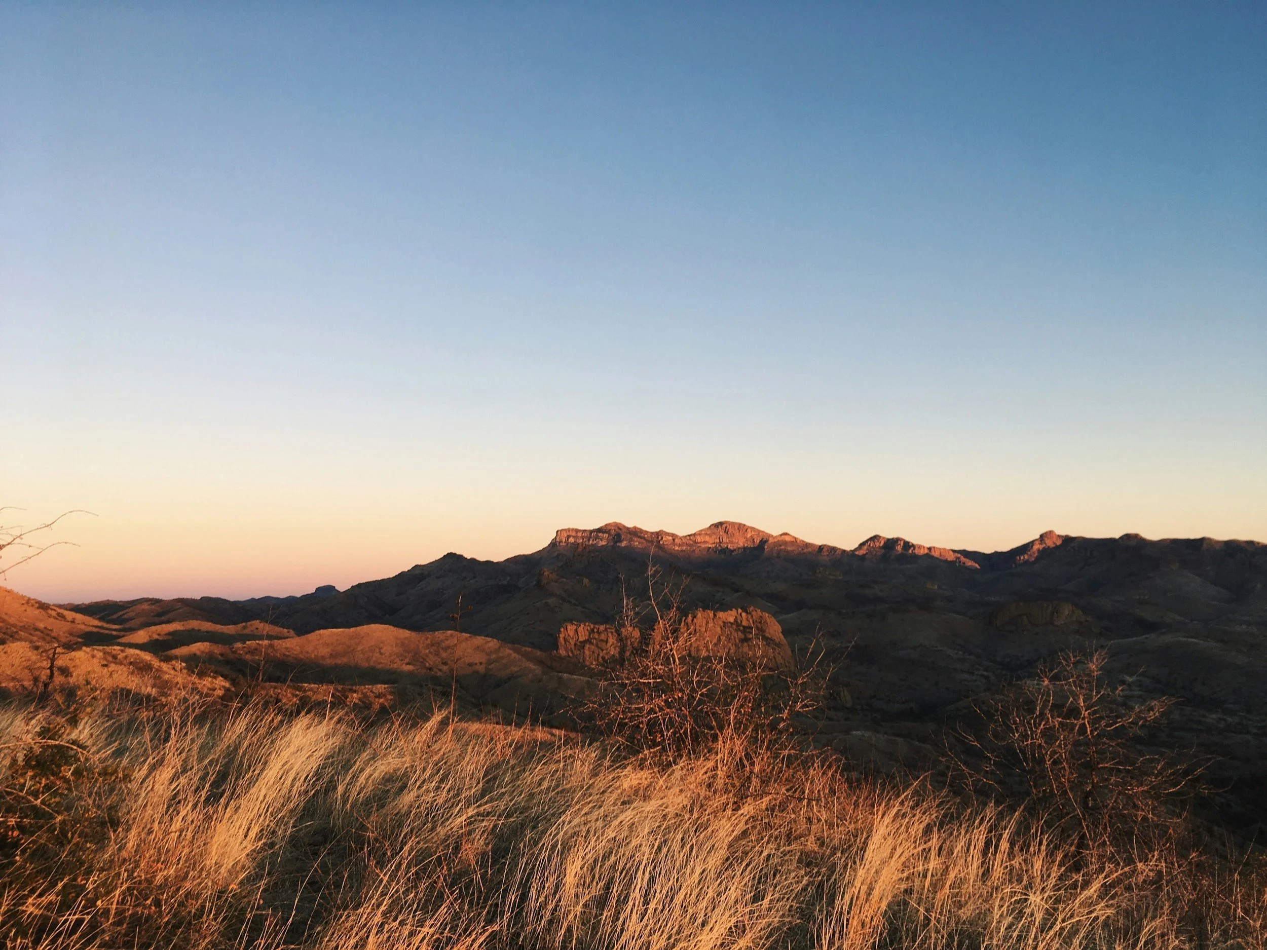 Desert landscape with rocky mountains in the background, dry grass in the foreground, and a clear sky at sunset.