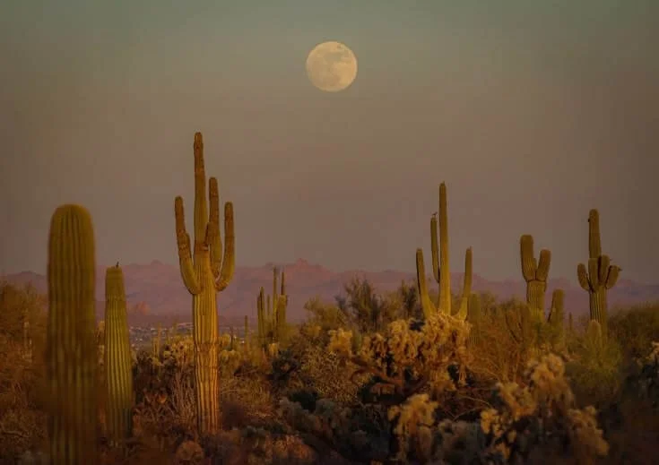 Desert with moon rising above