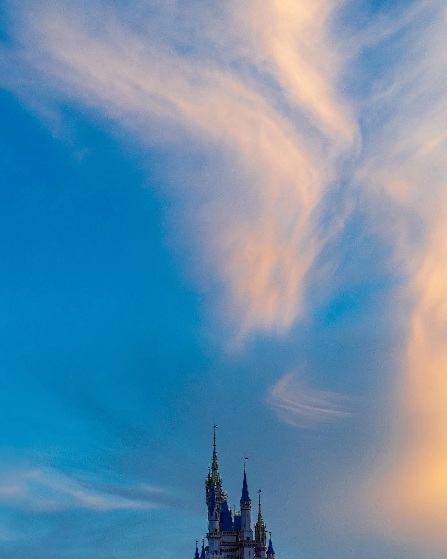 Disney photography cheat code: Look up. That&rsquo;s it.