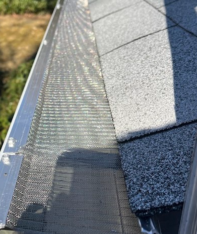 Close-up of a roof edge showing shingles, metal flashing, and a screen or mesh on the gutter edge.