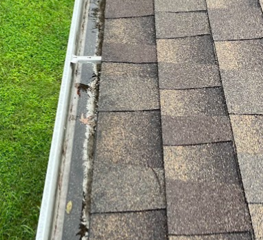 Close-up of a section of roof shingles with a metal gutter and green grass next to it.