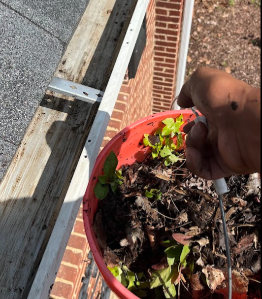 Gutter Cleaning