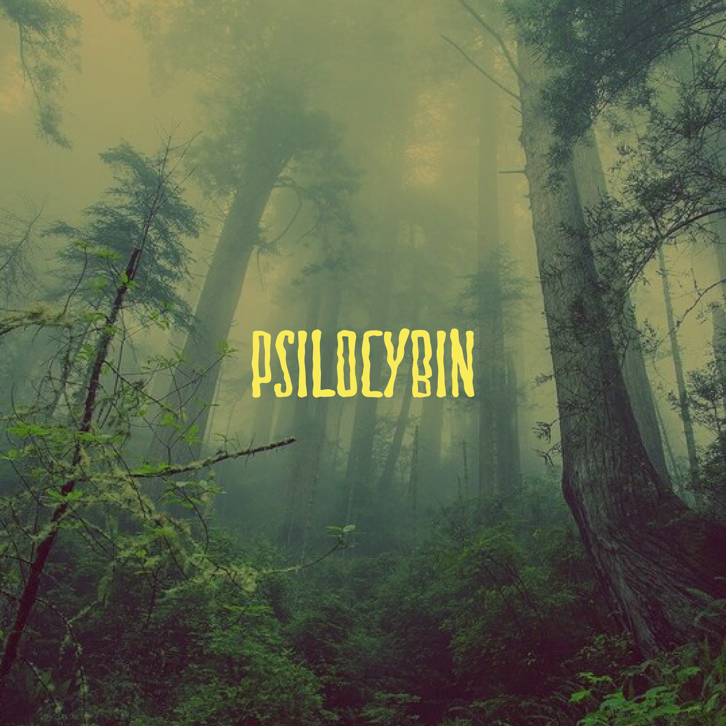 Lowercase-Font-Presentation-Template-PSILOCYBIN_v3_01 Cover.png