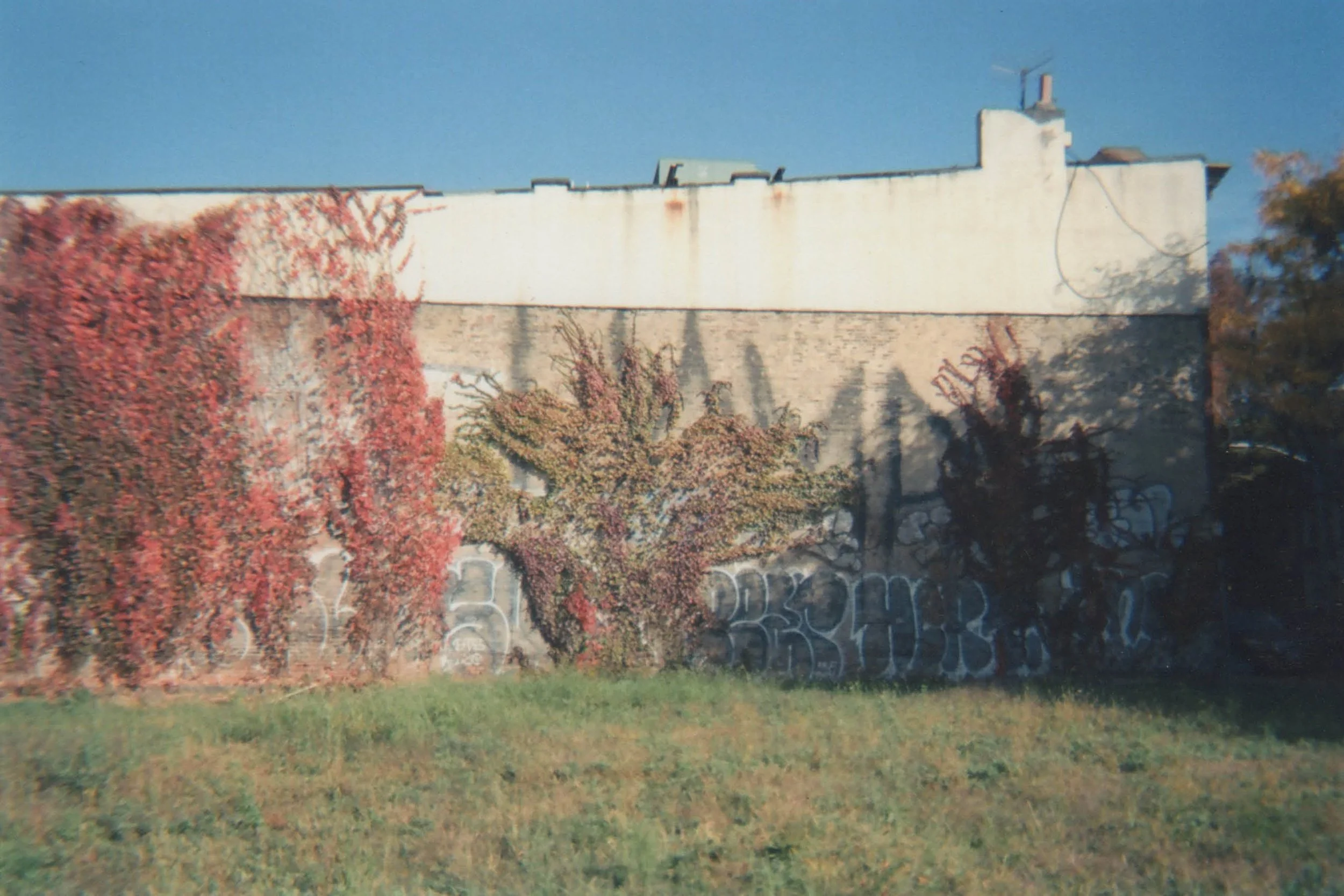 TM_FineArt_Collect_16x9_July_v620.jpg