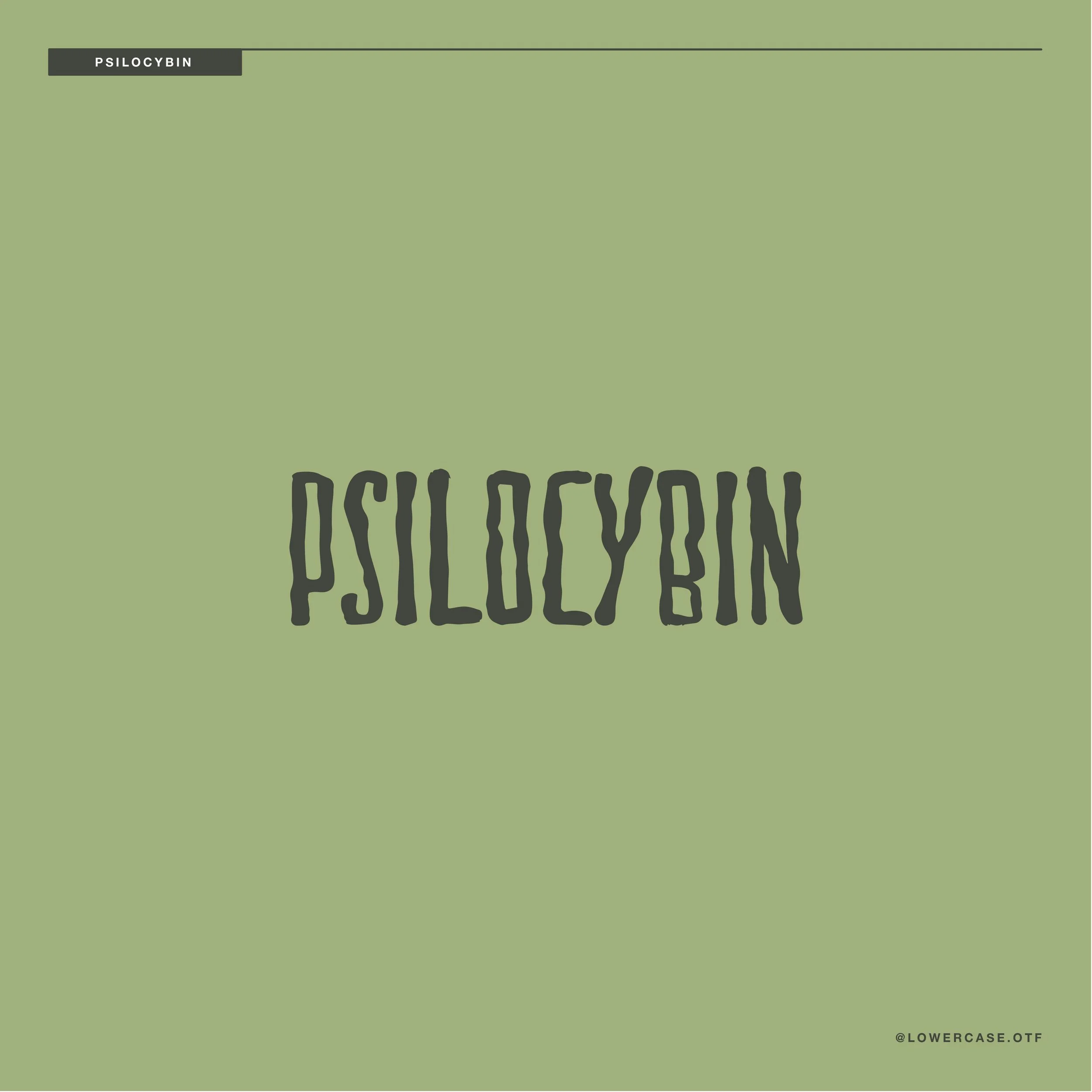 Lowercase-Font-Presentation-Template-PSILOCYBIN_02 Style Showcase 2up.jpg