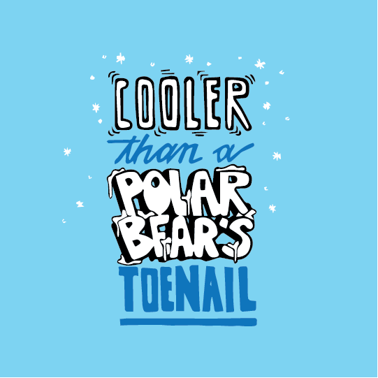 polarbear_01.png