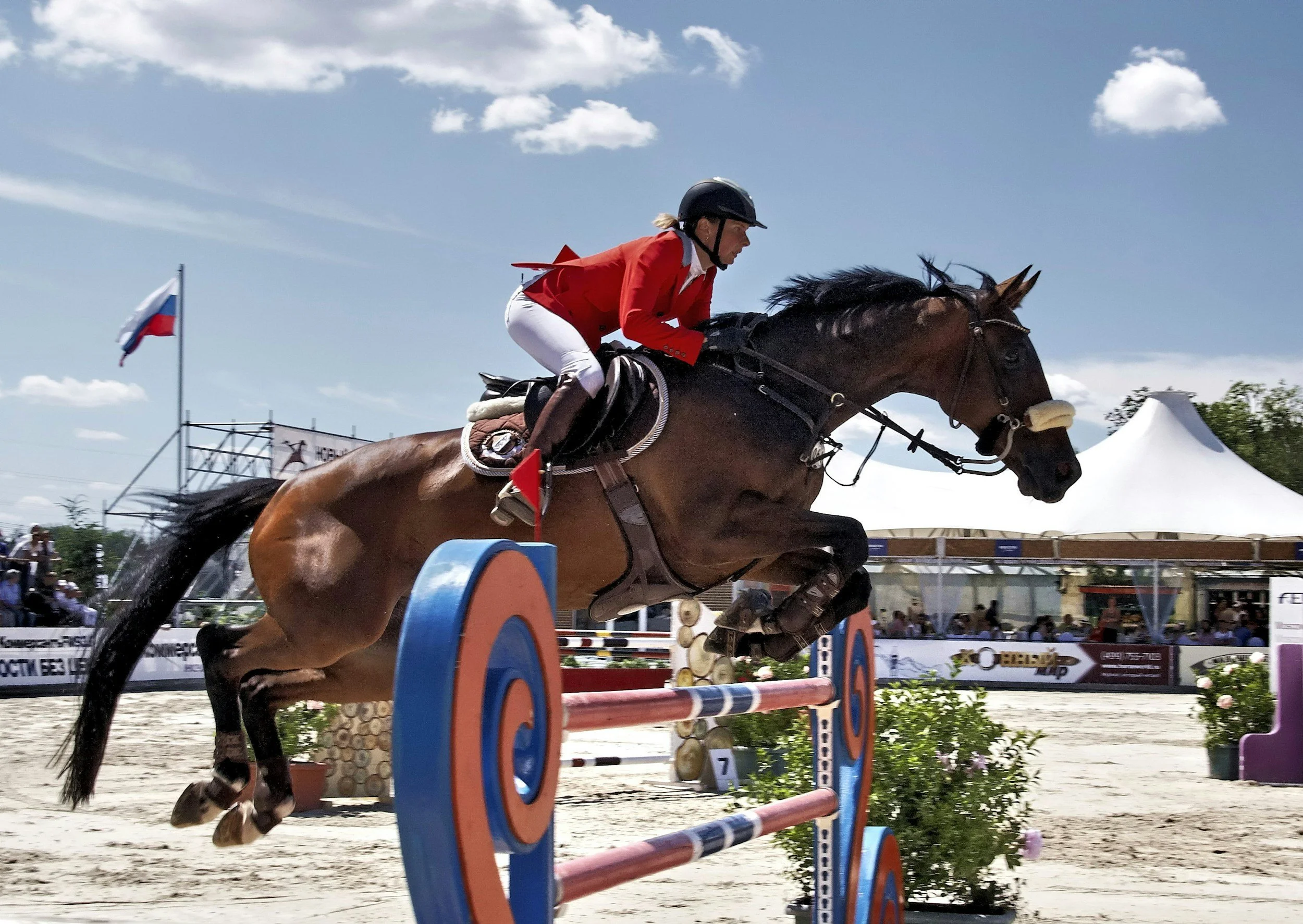 A competitive horseback rider jumping over a hurdle, demonstrating high-performance sports that place heavy athletic demands on the pelvic floor muscles which can affect the bladder.