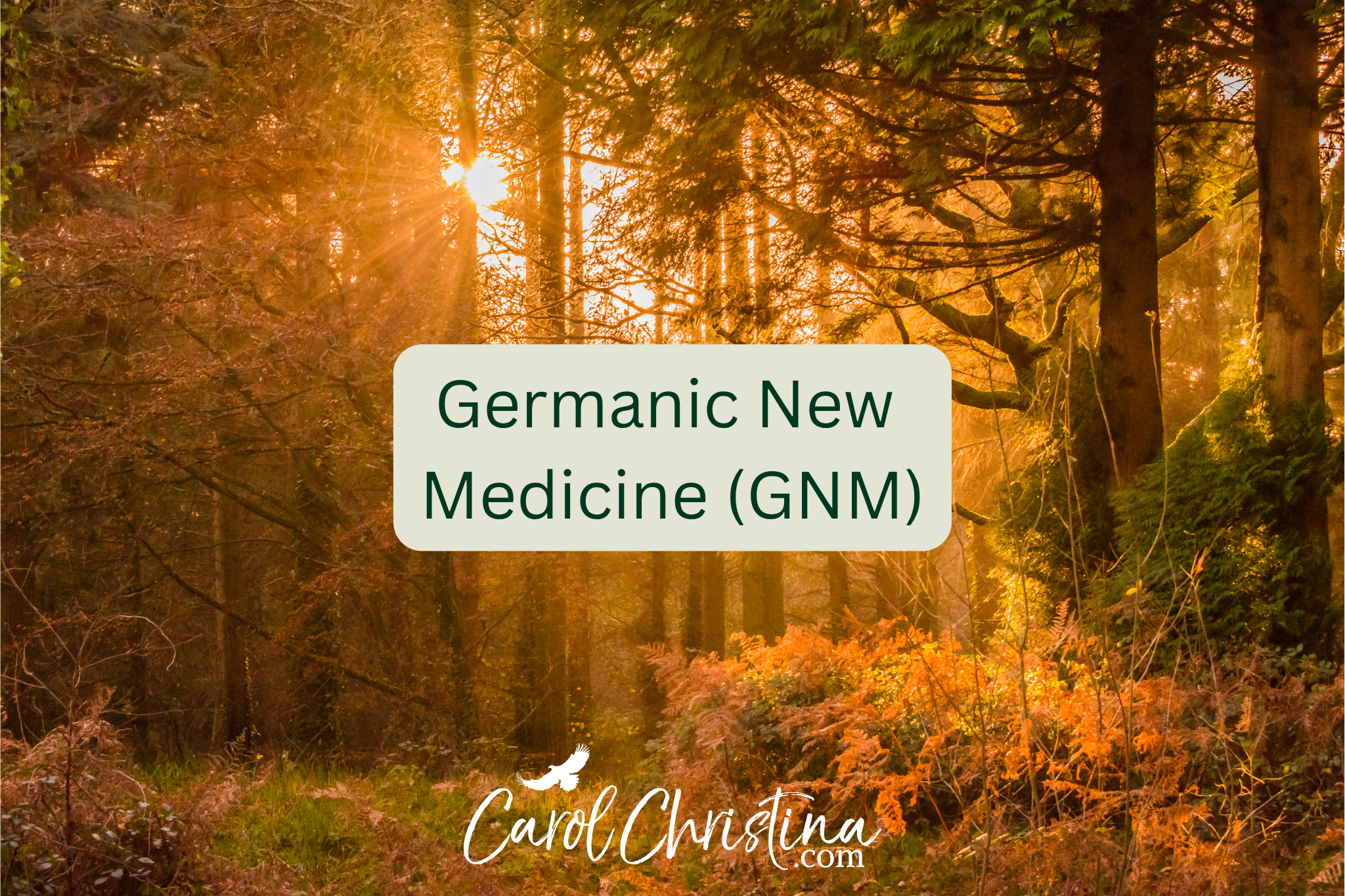 Why I Love Germanic New Medicine
