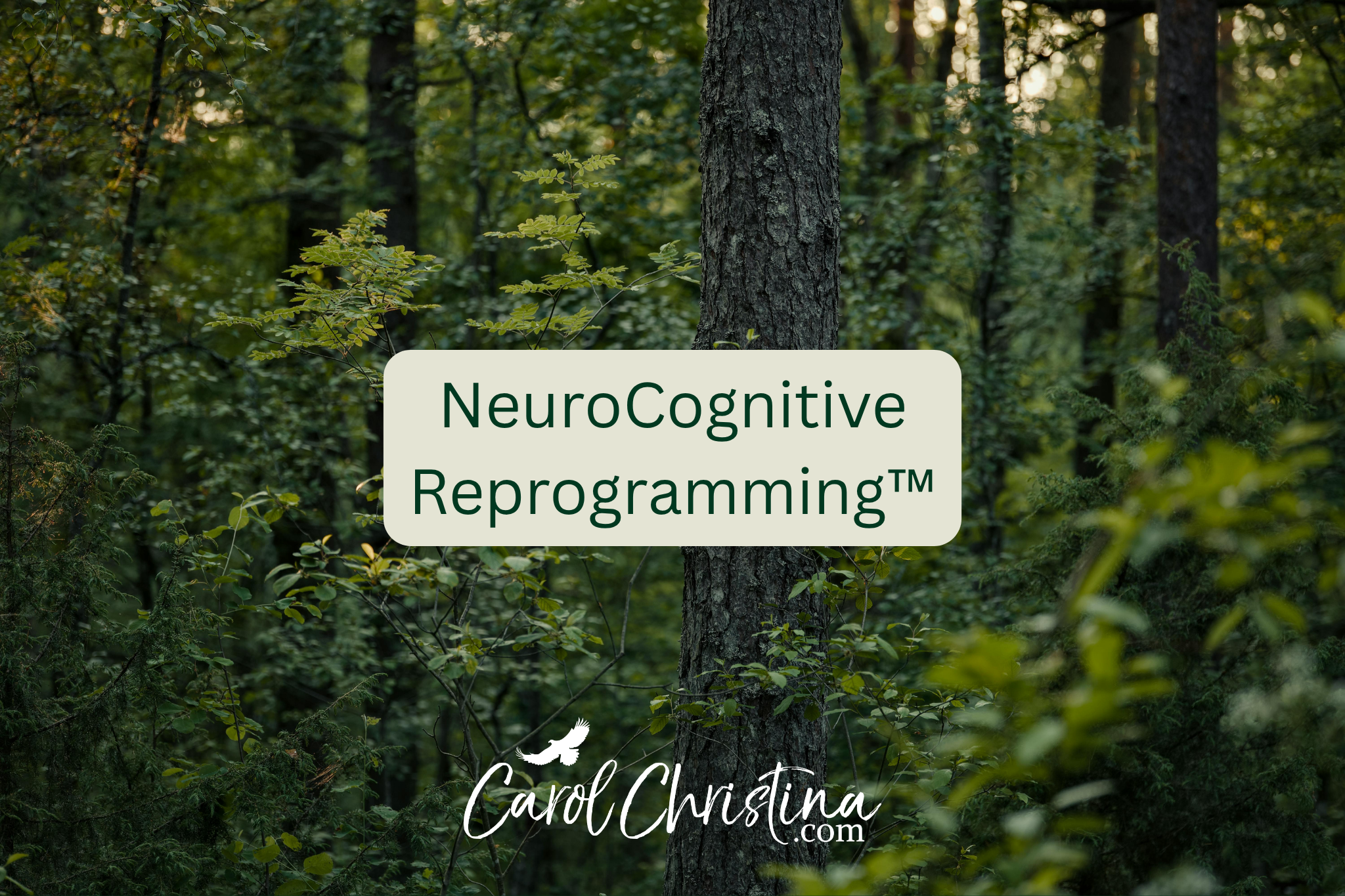 Understanding NeuroCognitive Reprogramming™