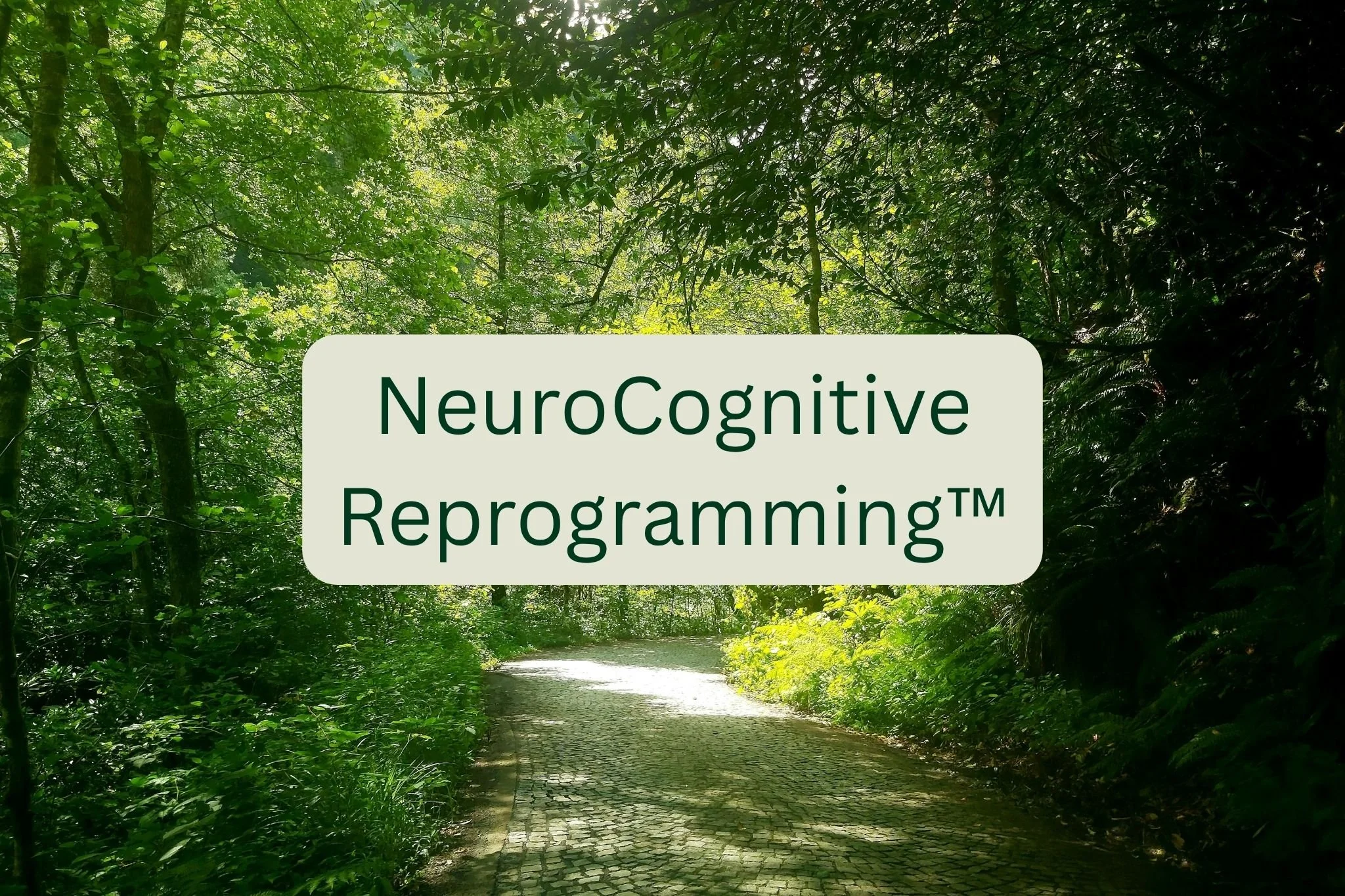 How Our Brain Creates Programs