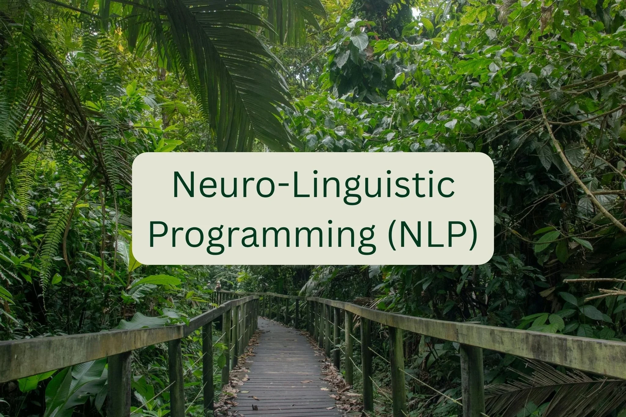 How I Use NLP With My Clients