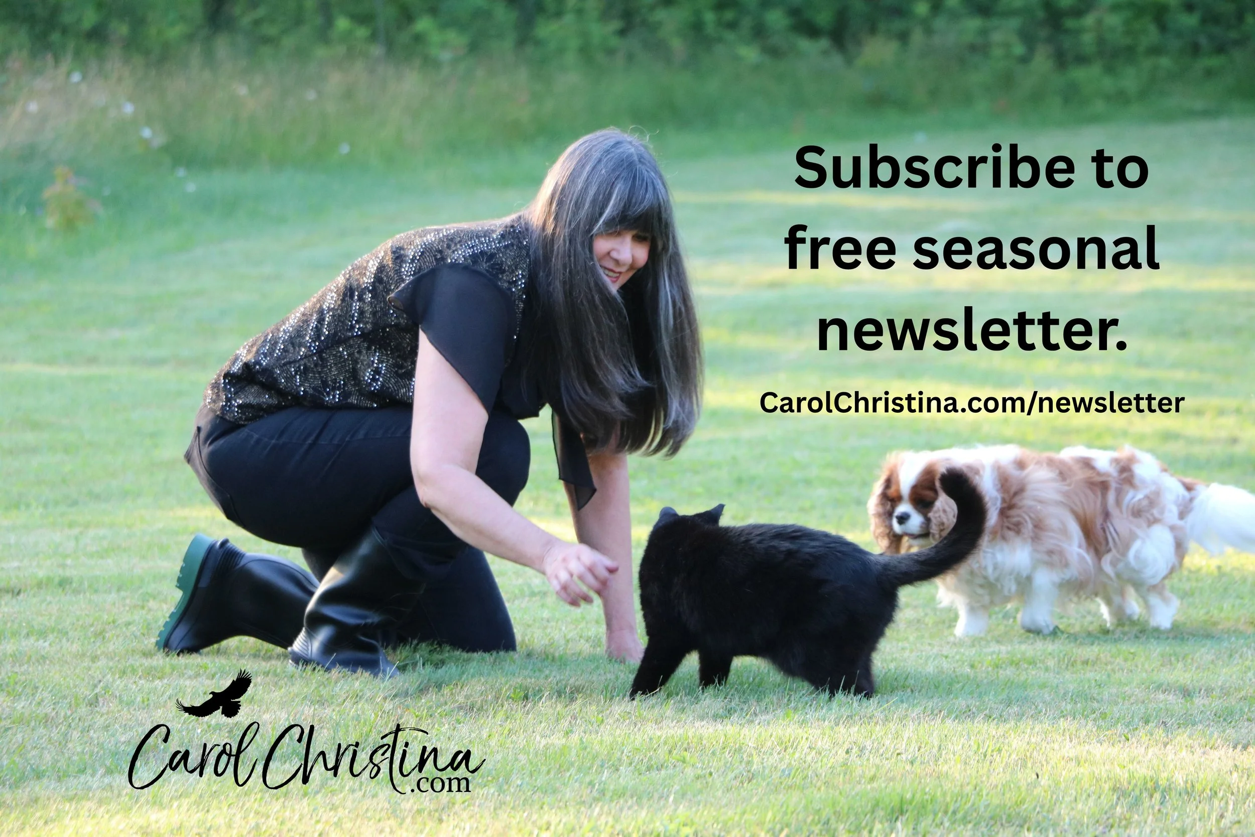 Stories and teaching for healing at the root in  a free seasonal newsletter at CarolChristina.com/newsletter