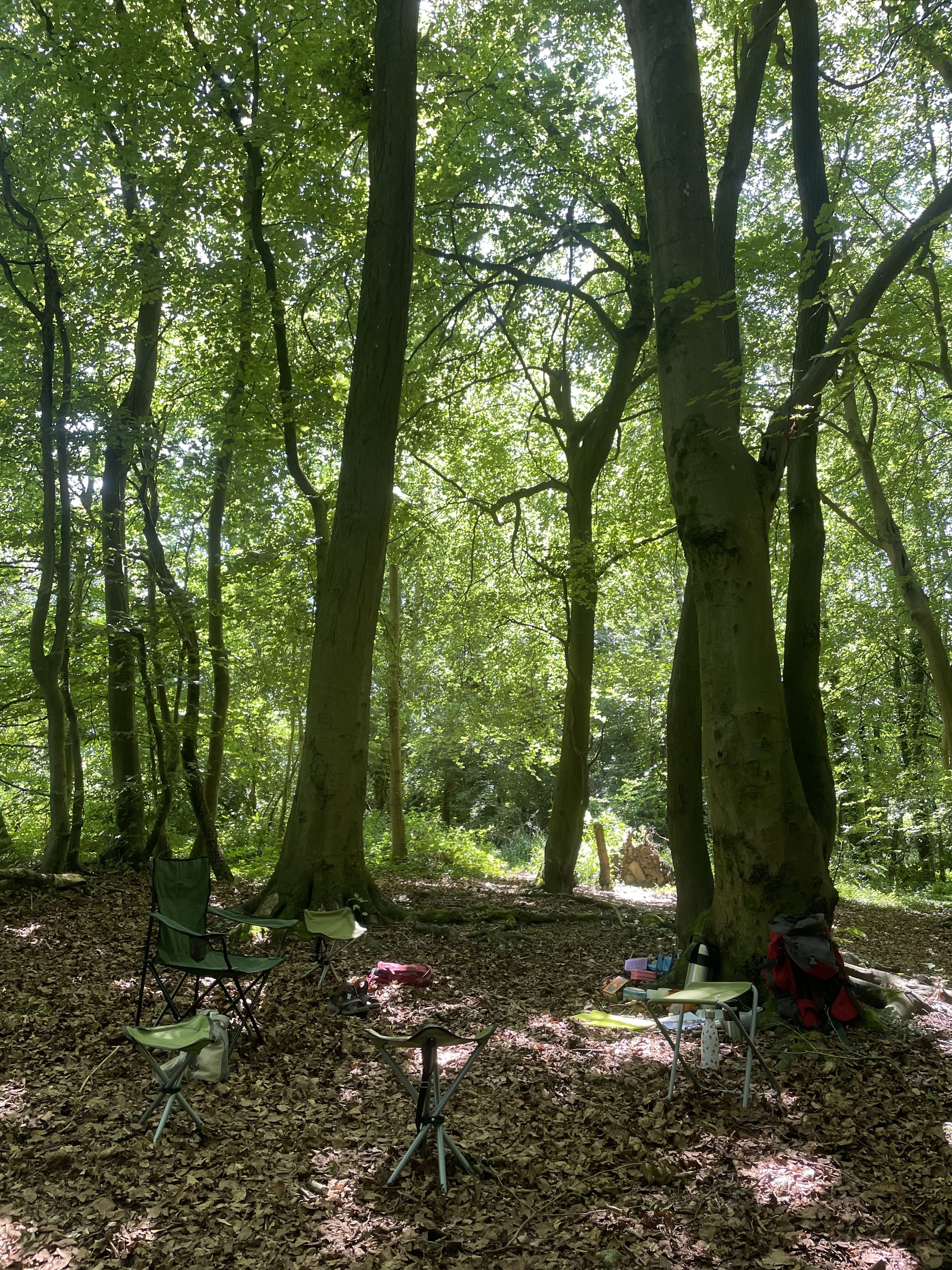 Camping setup in a forest with folding chairs, backpacks, and a table, surrounded by tall trees with green leaves, sunlight filtering through the canopy.