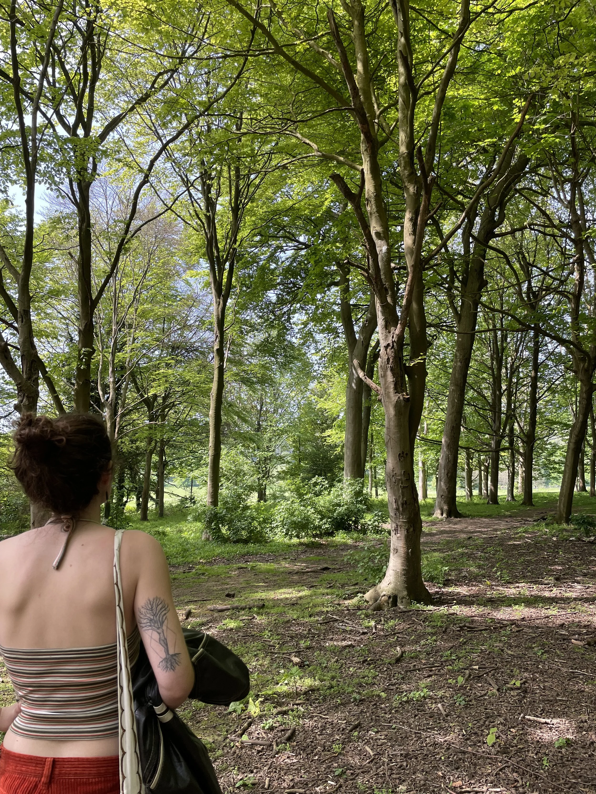 A person with short, curly brown hair, wearing a striped tank top and red pants, seated in a forested area with green trees and a dirt pathway.
