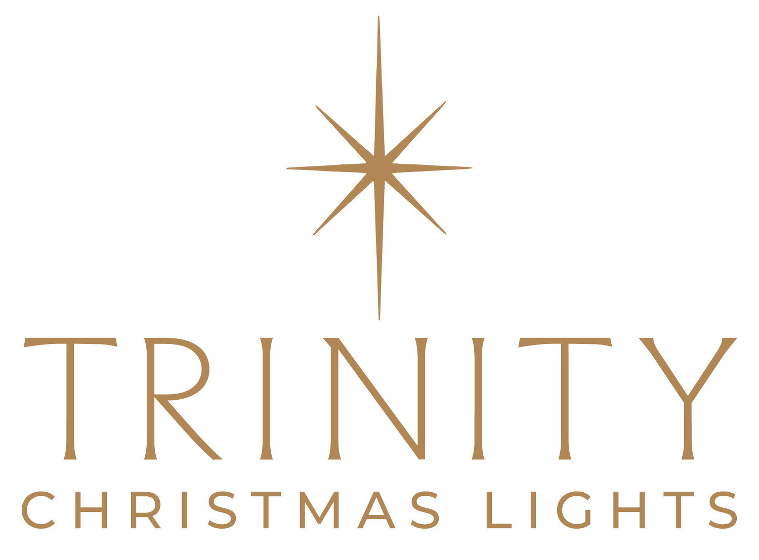 Trinity Christmas Lights