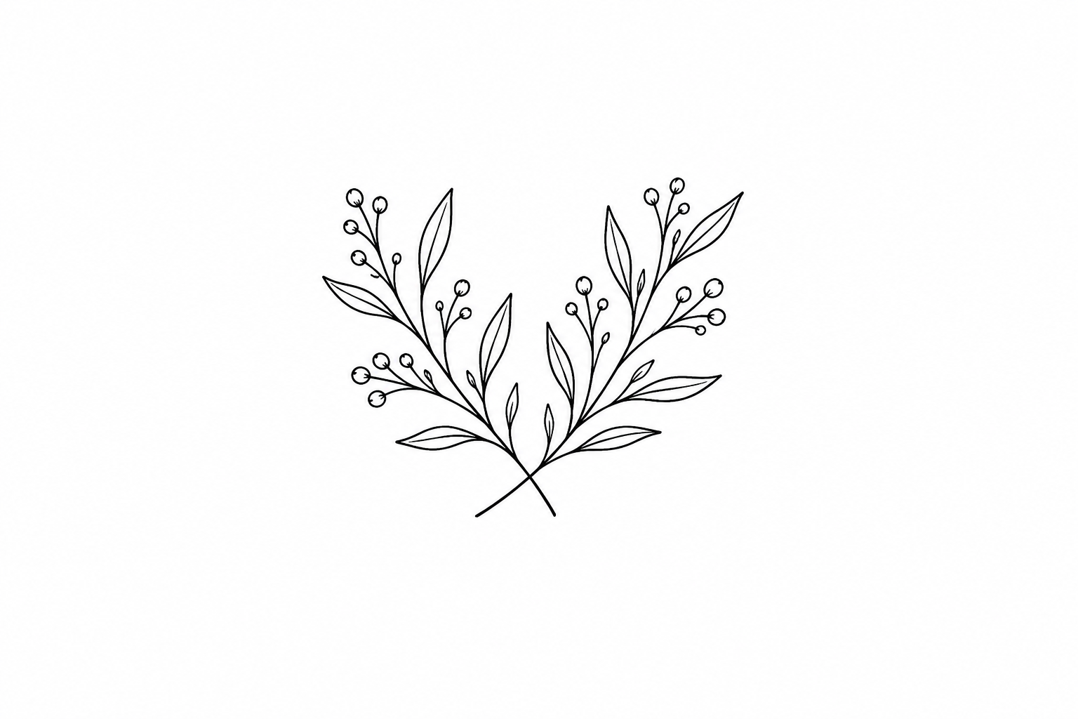 A black and white line drawing of two symmetrical, leafy branches with small round berries.