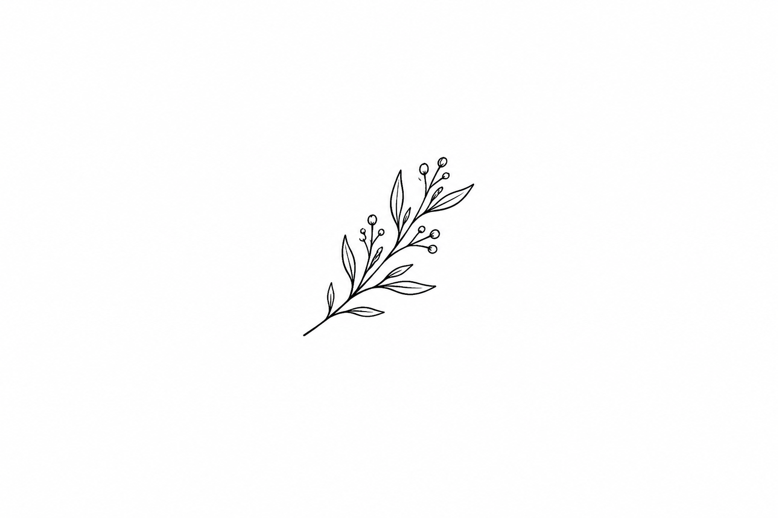 Black and white line drawing of a botanical branch with leaves and small berries