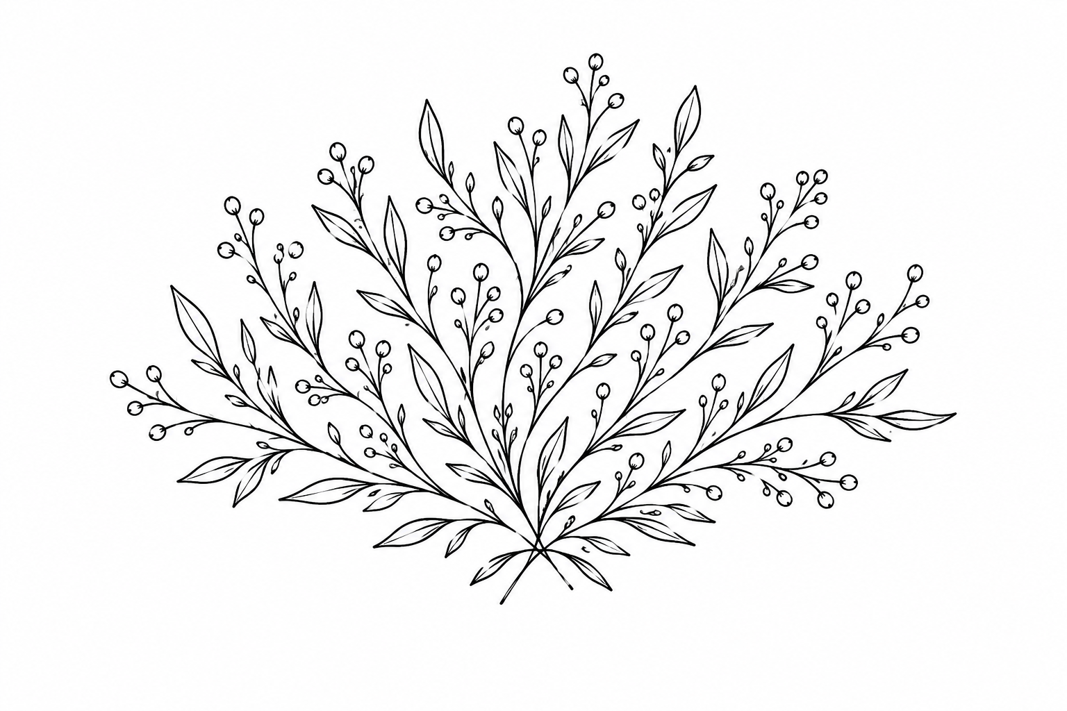Black and white line drawing of a bouquet of leaves and small round berries on thin, curved branches