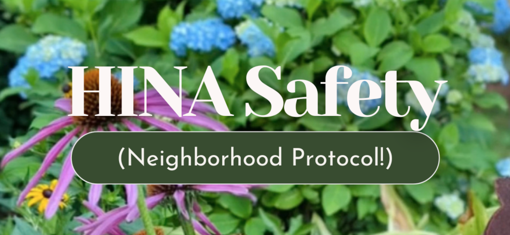 A garden scene with purple coneflowers and blue hydrangeas, overlaid with text reading 'HINA Safety' and '(Neighborhood Protocol!)'.