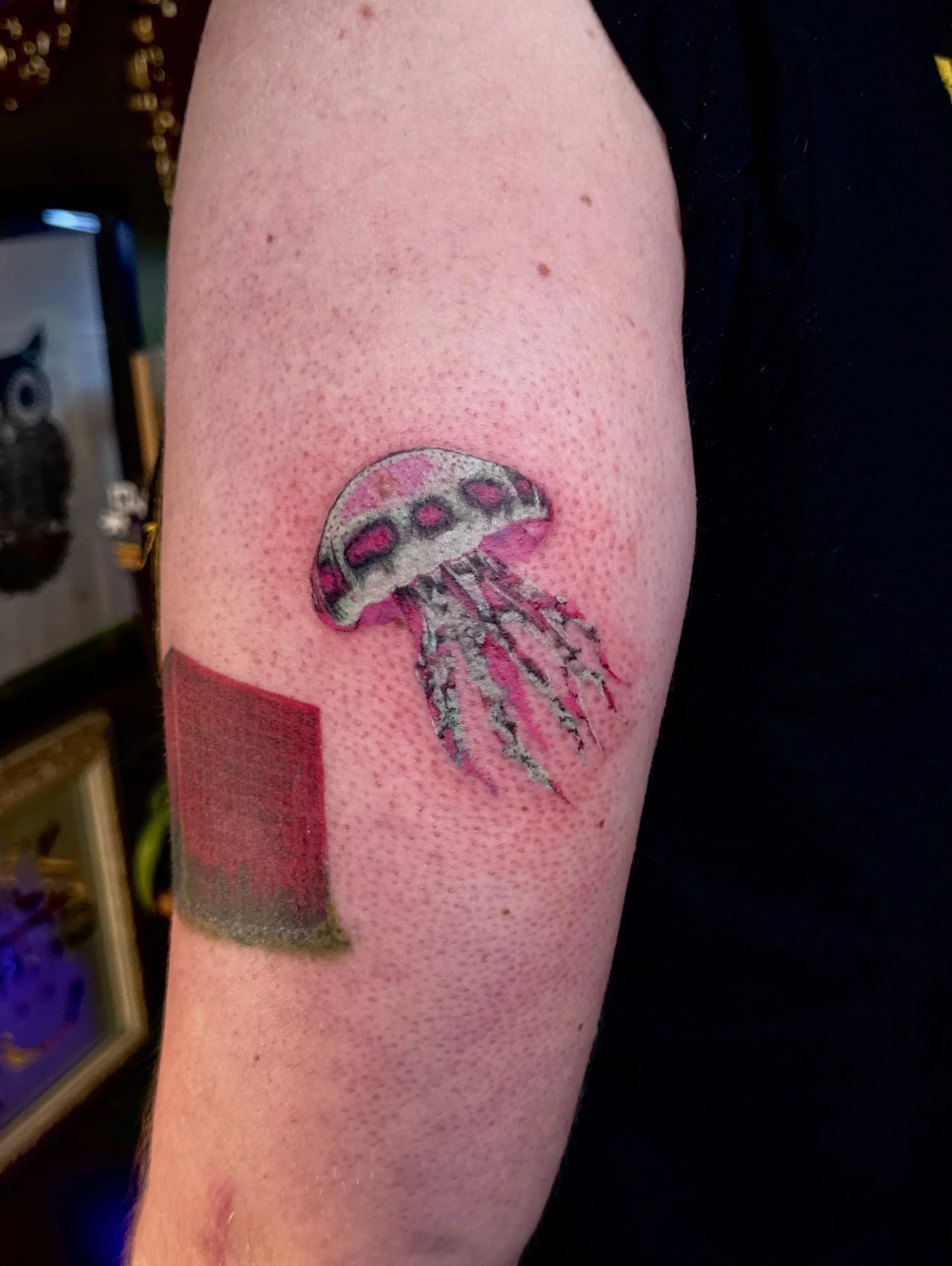 Jellyfish 🪼

So much fun doing these small colorful ones 💫 booking September-October. Message me click the link to book 👻 

#tattoos #dfw #jellyfish