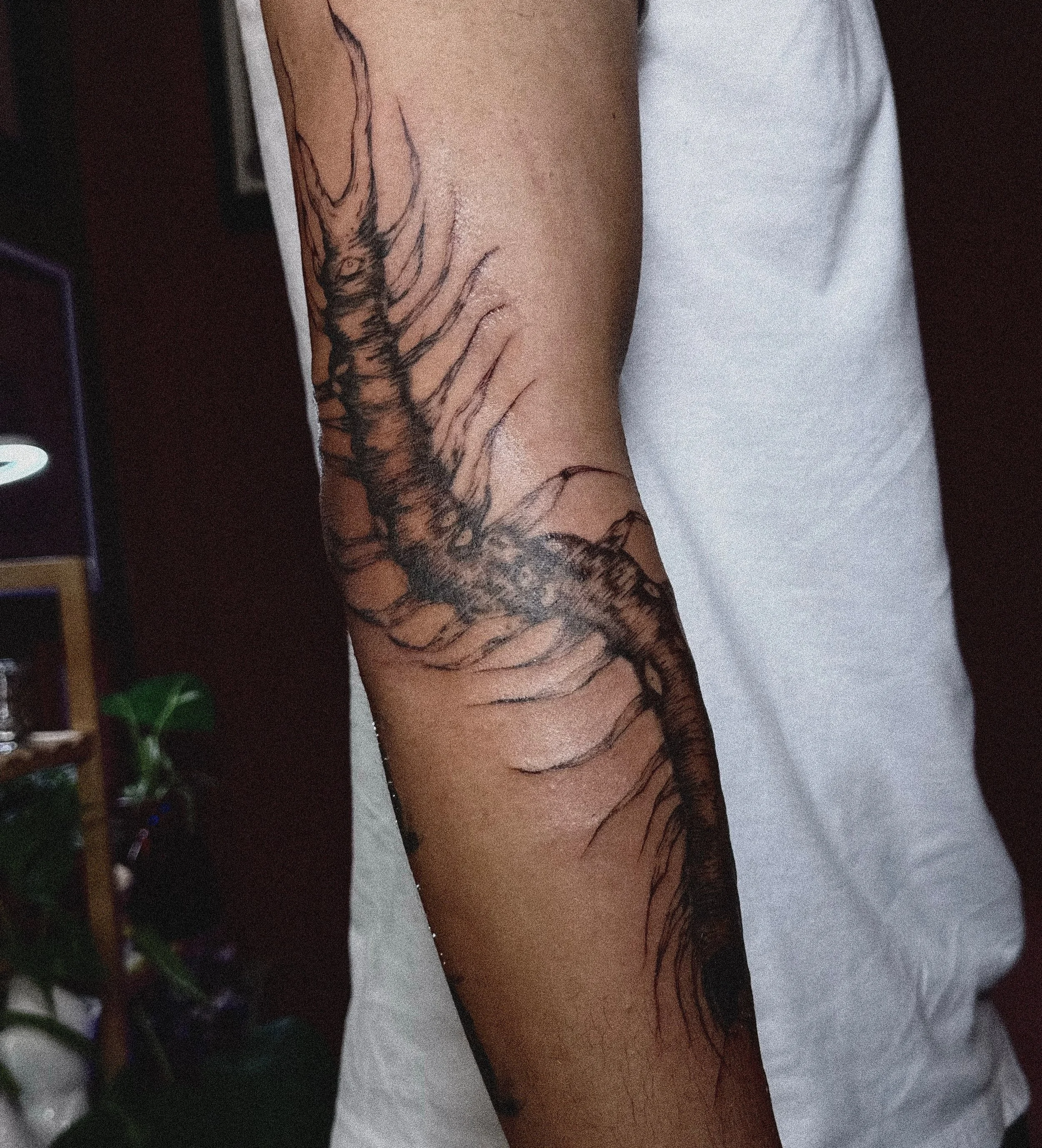 Centipede piece 💥 

Done in one shot @xochi.stu 💥💥💥 
Booking October/Nov 

#tattoos #dfw #dallas #centipedetattoo