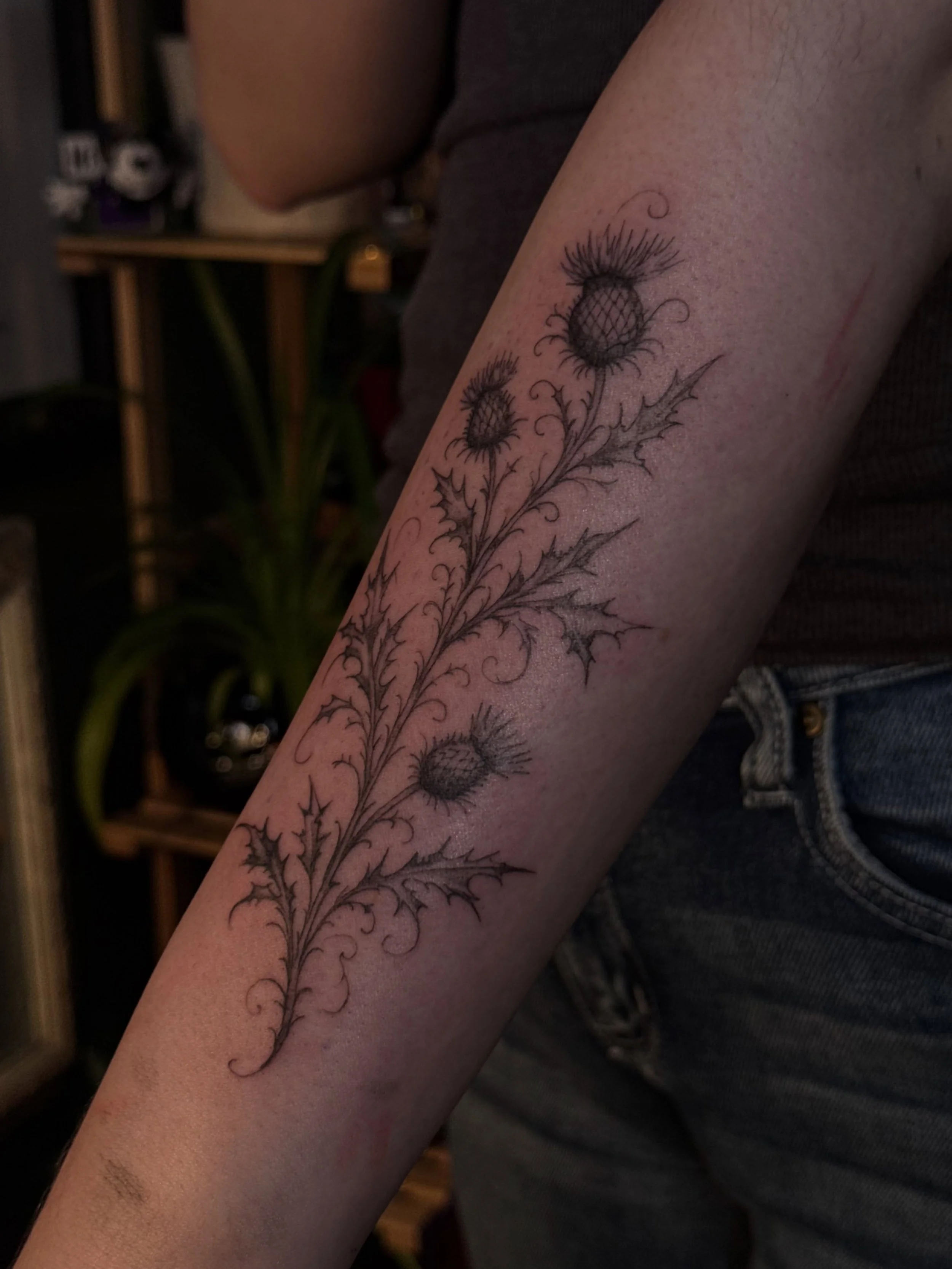 Thistle branch in honor of home 💫

Done at @xochi.stu 

Booking November 🍂 

#dallas #tattoos #tattooartist #artist
