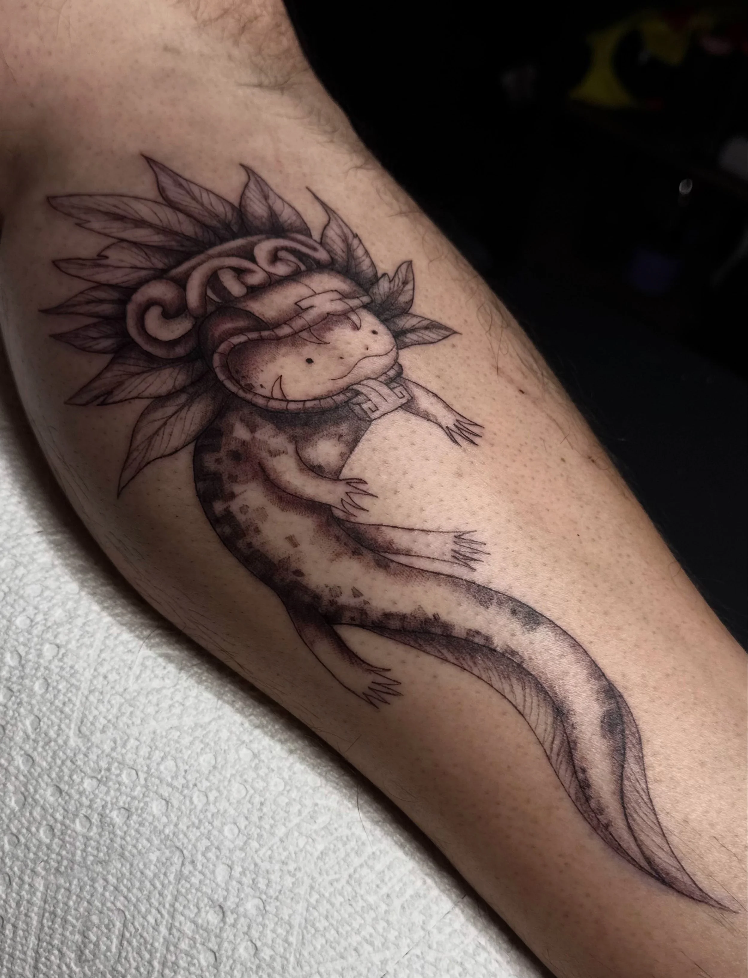 Aztec Axolotl piece on the calf 💥 

Felt especially connected to this one. Thank you for the trust, done at @xochi.stu 💫 

Booking November 🍁 message me 

#tattoos #dallas #dfwtattoos #tattooartist #axolotl
