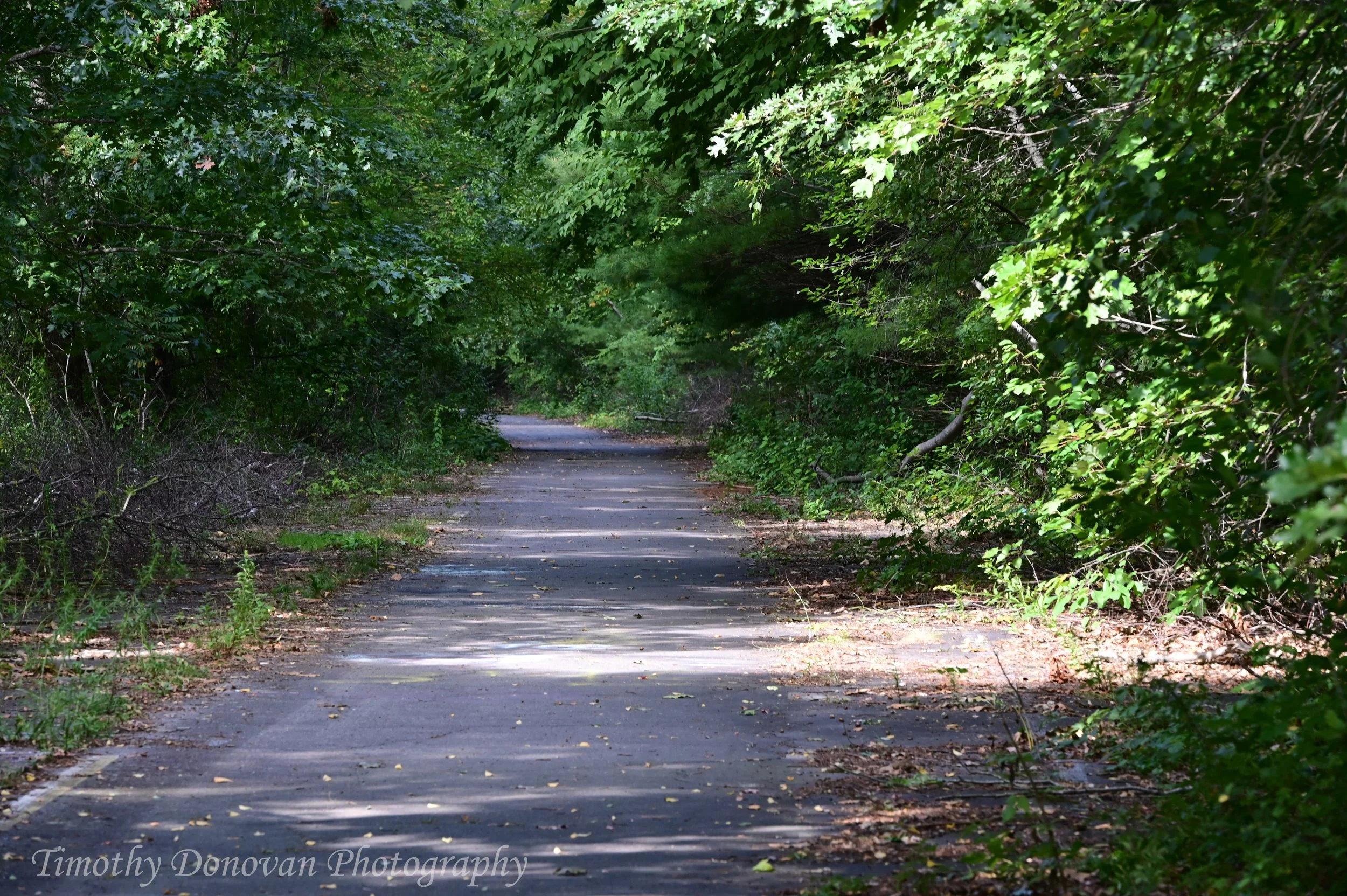 road8.jpg