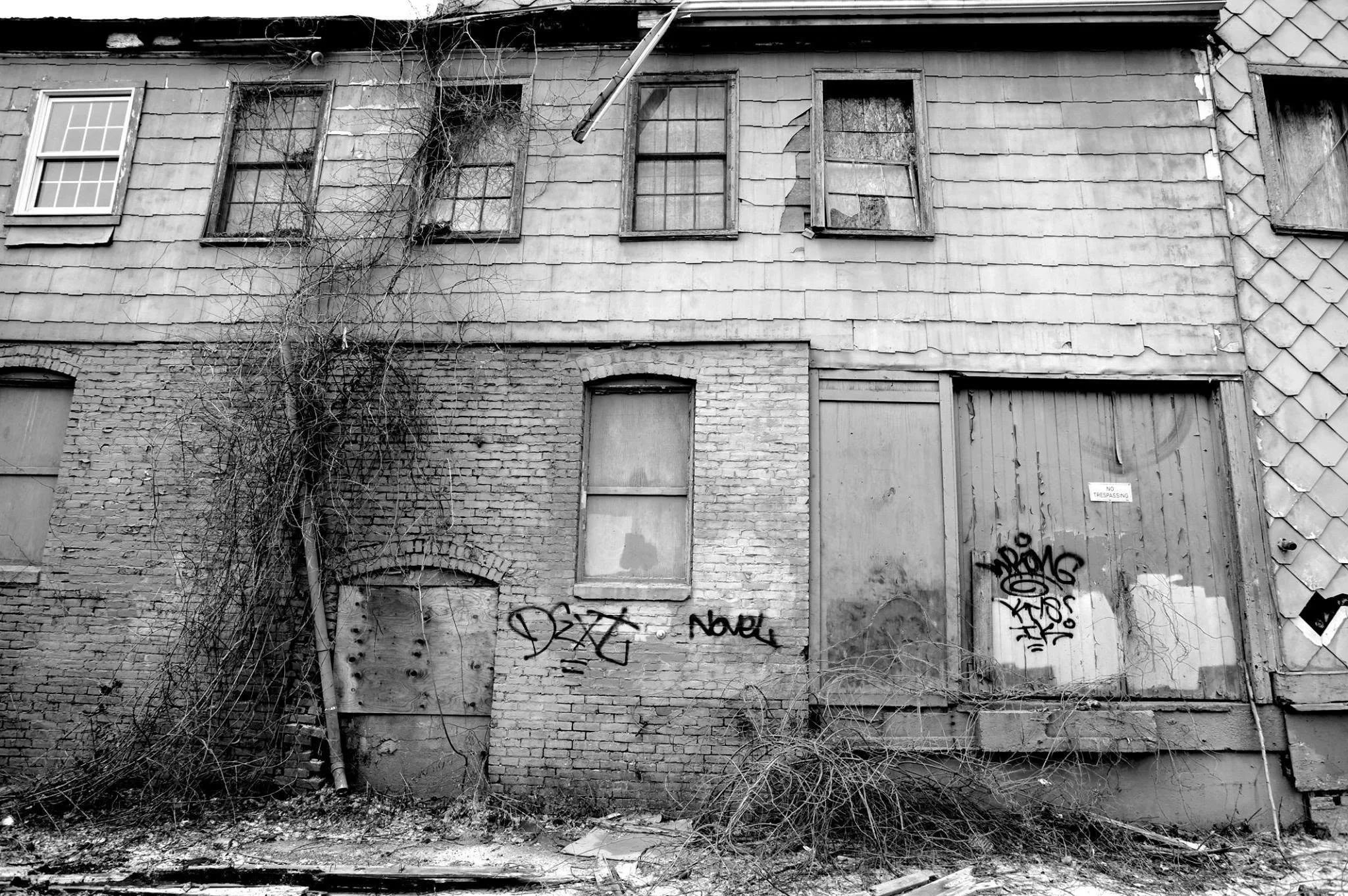 decay.jpg