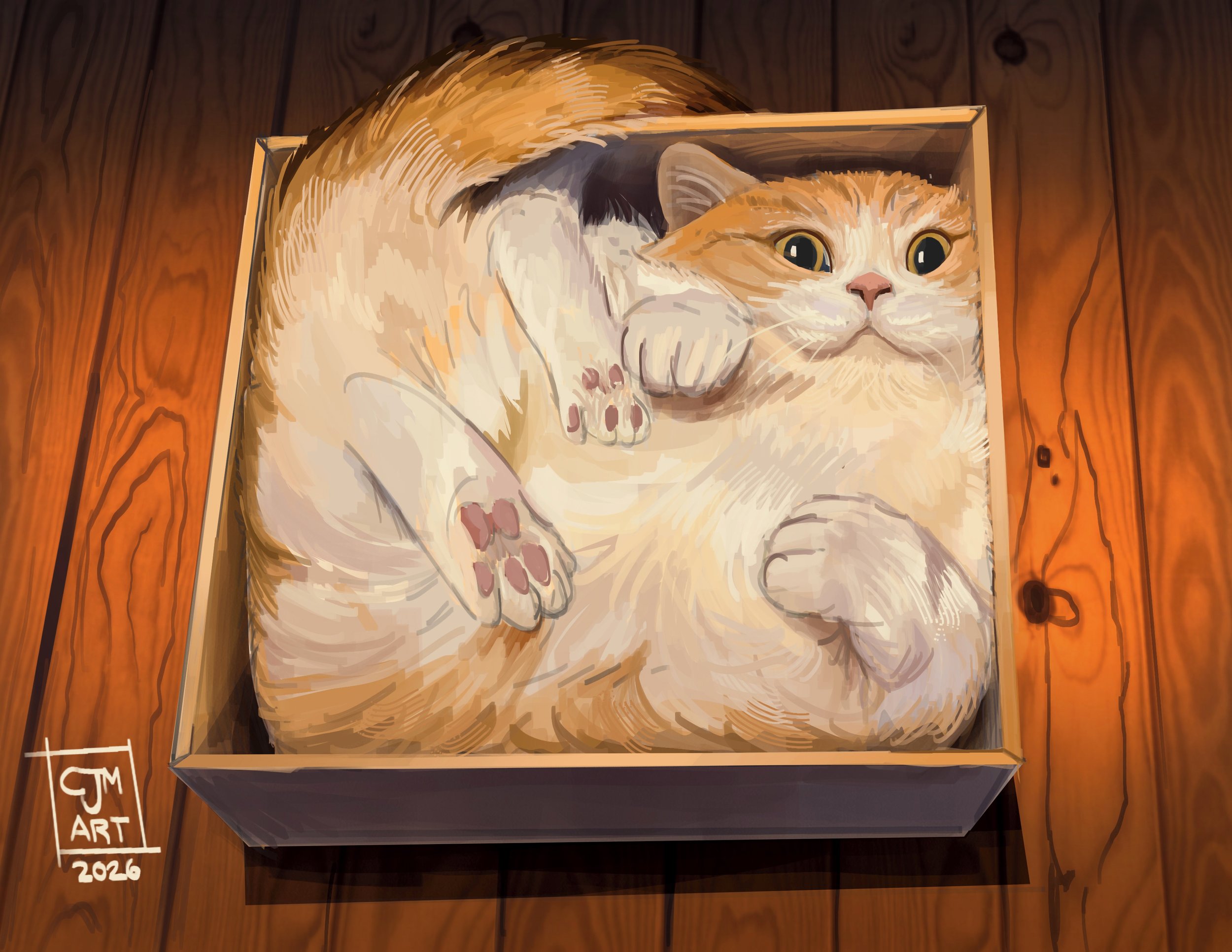 Cat in the box