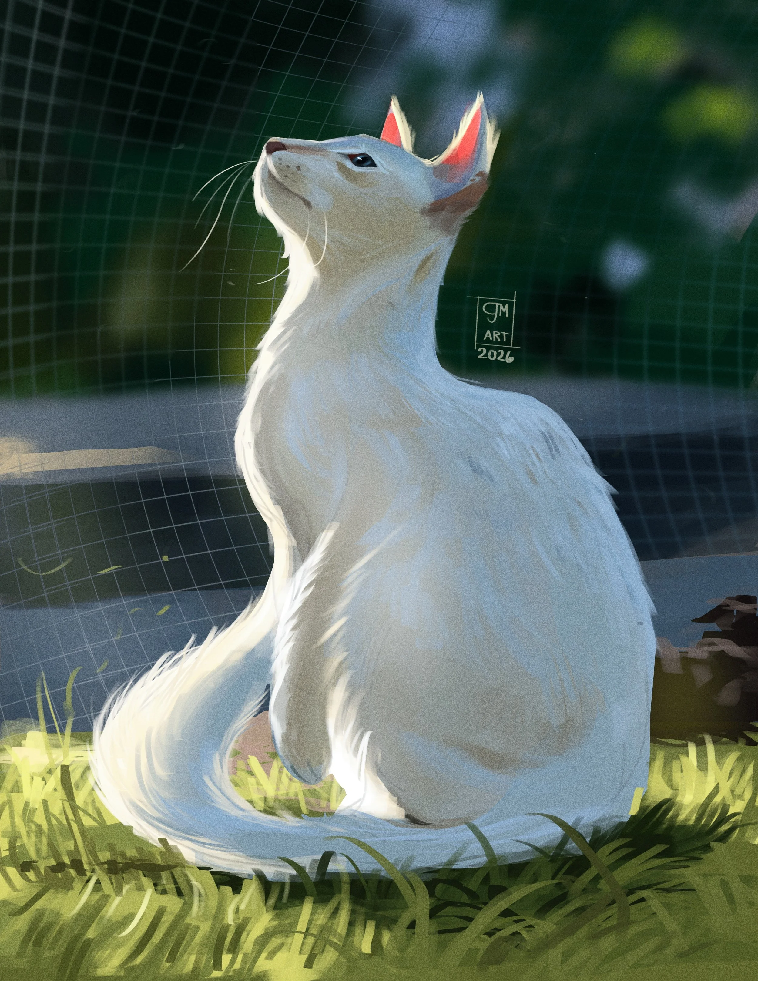 in the grass.jpg