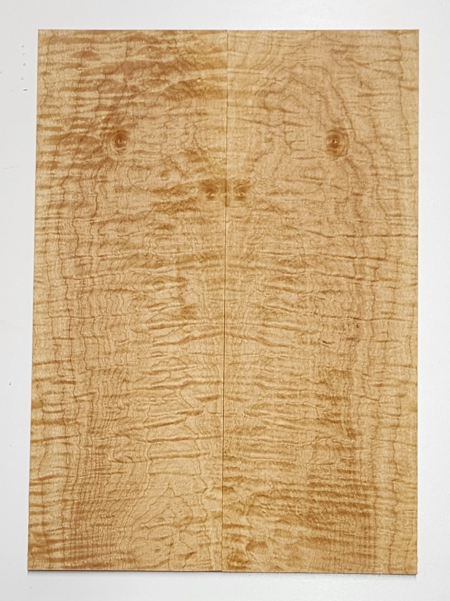 244.jpg