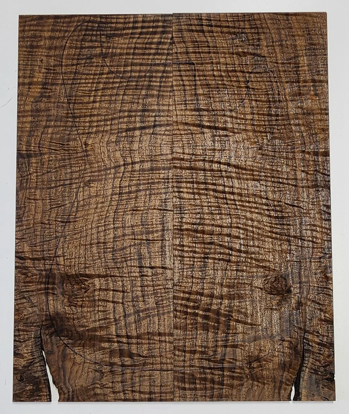 195.jpg