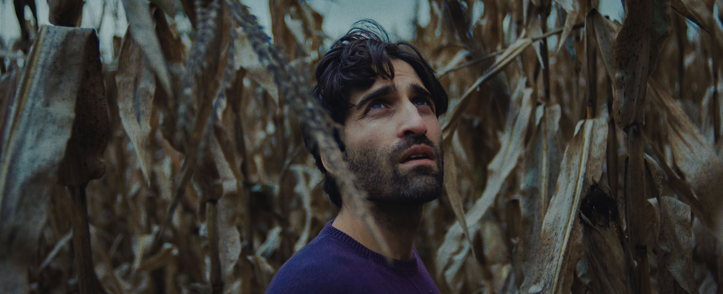 Joey Bicicchi in cornfield, alien film, Heavenly Wickedness