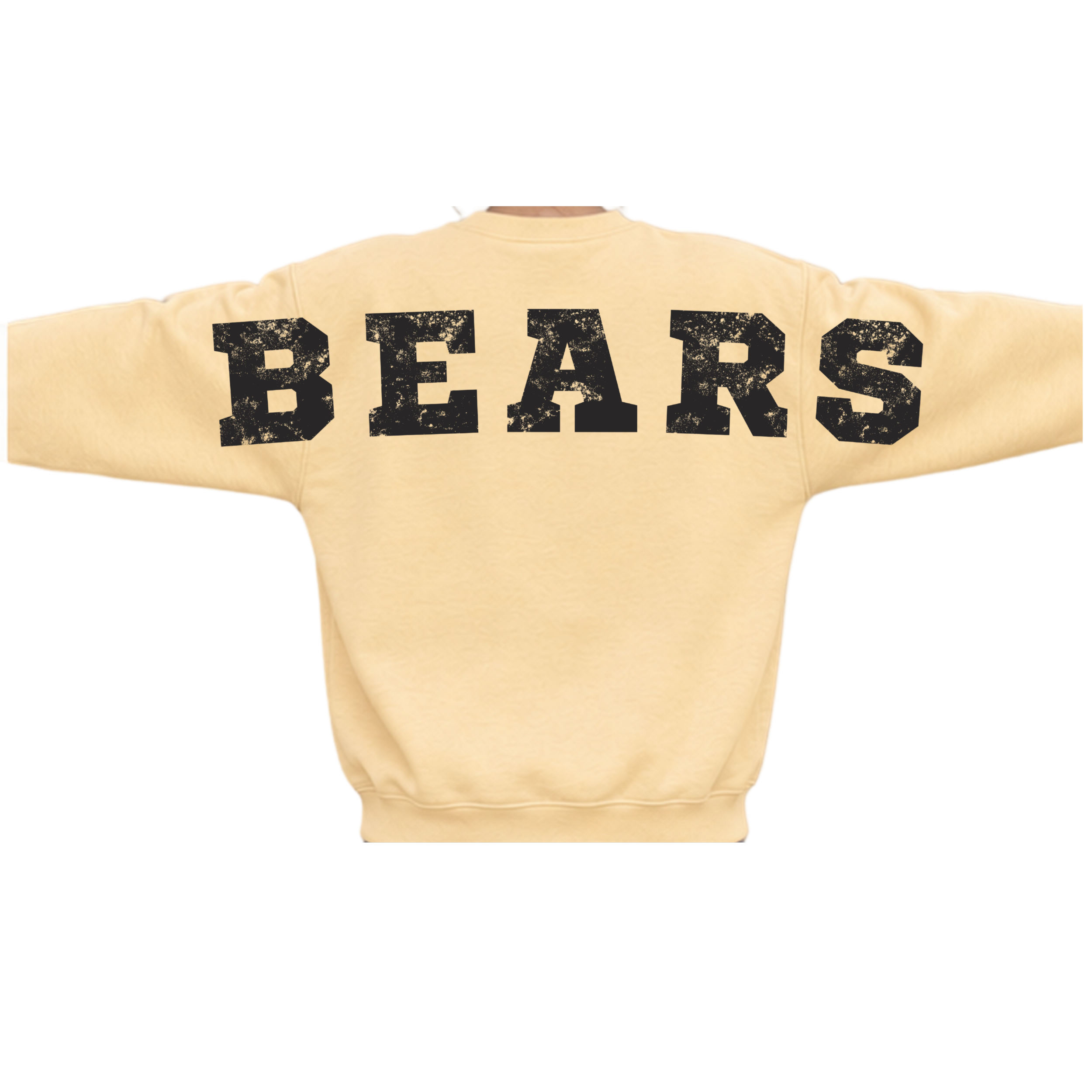 West High Bear on Back