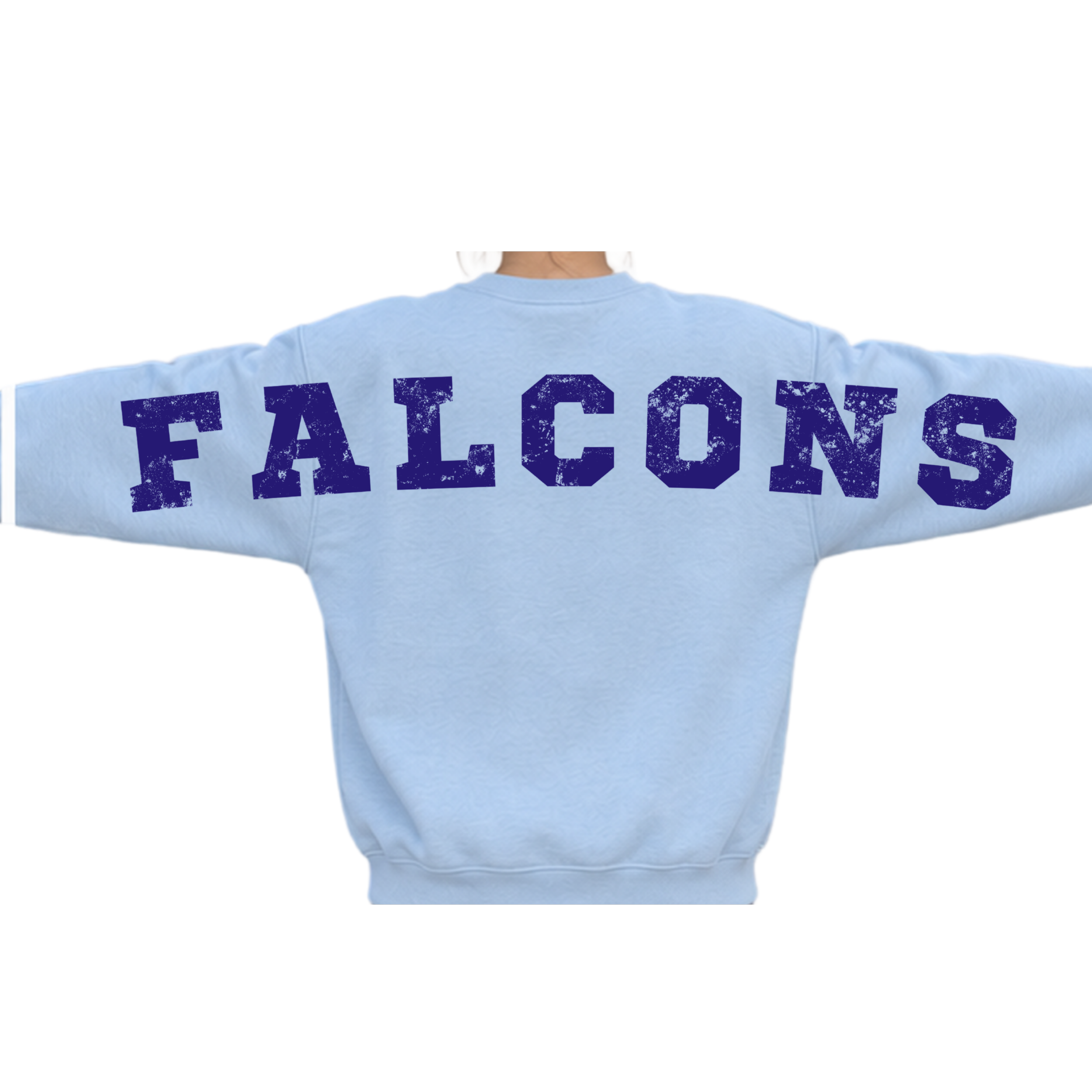 Skyview Falcon on Back