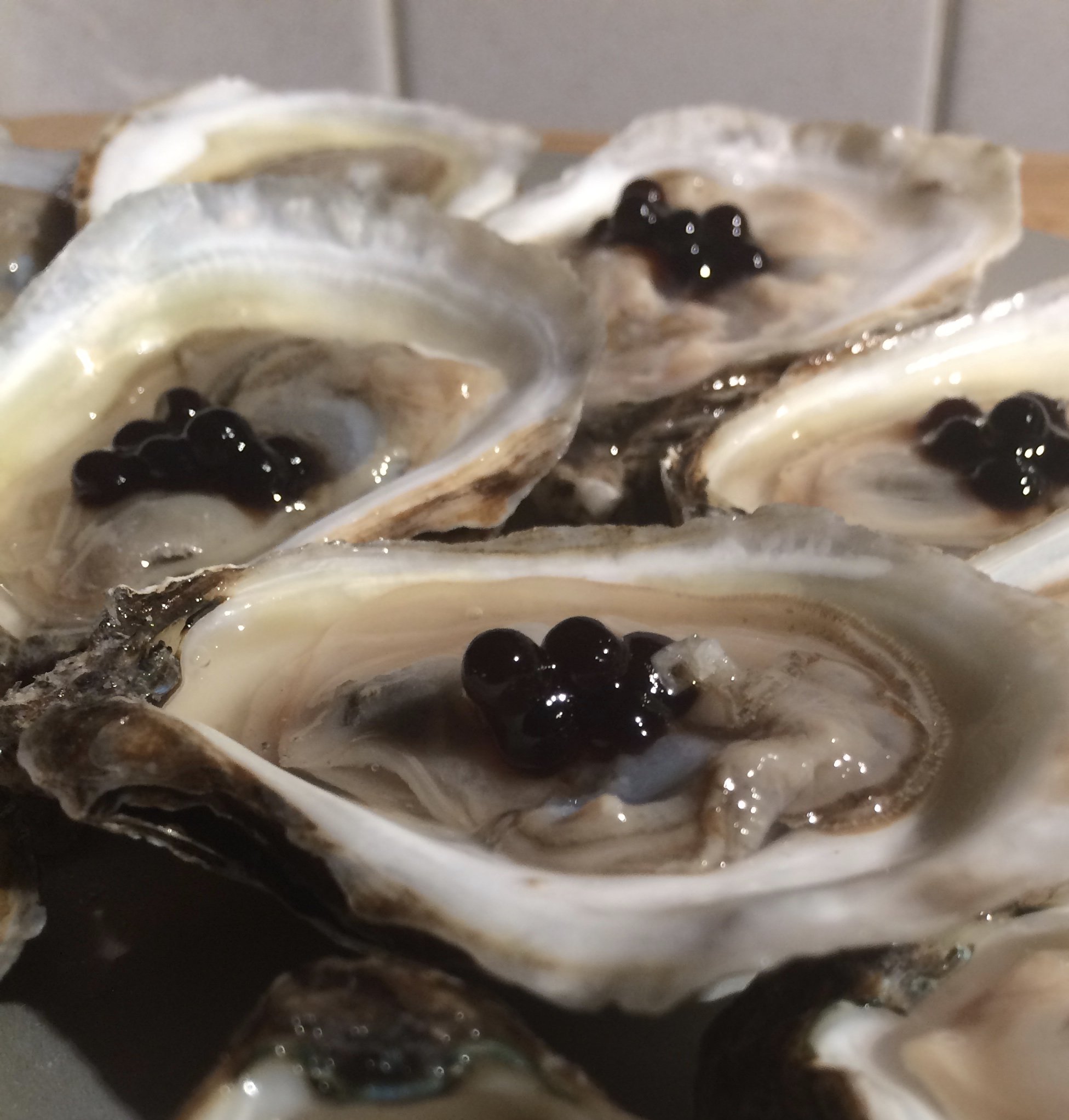 Close-up of open oyster shells with black pearls inside.