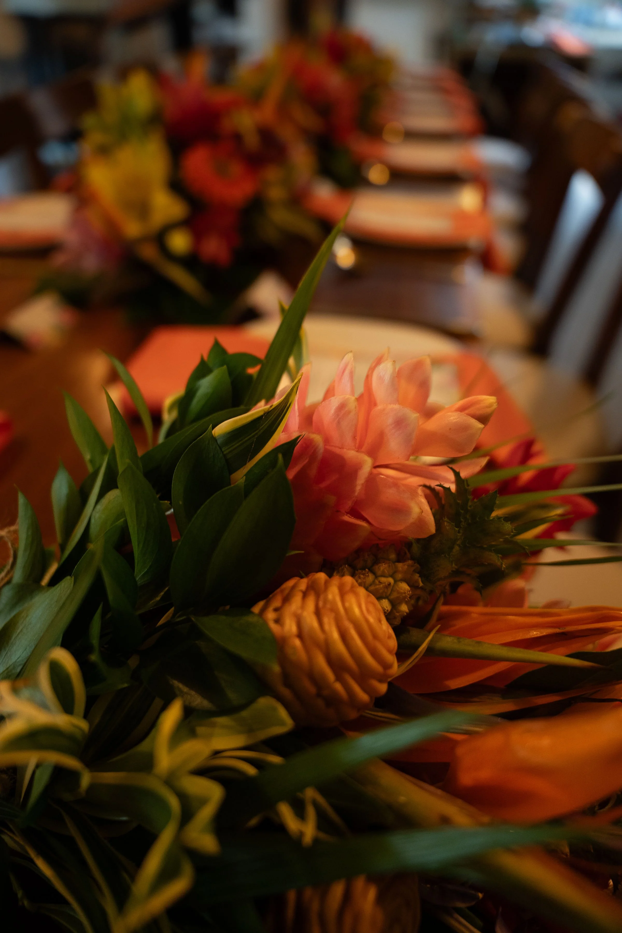 DSC02105.jpg