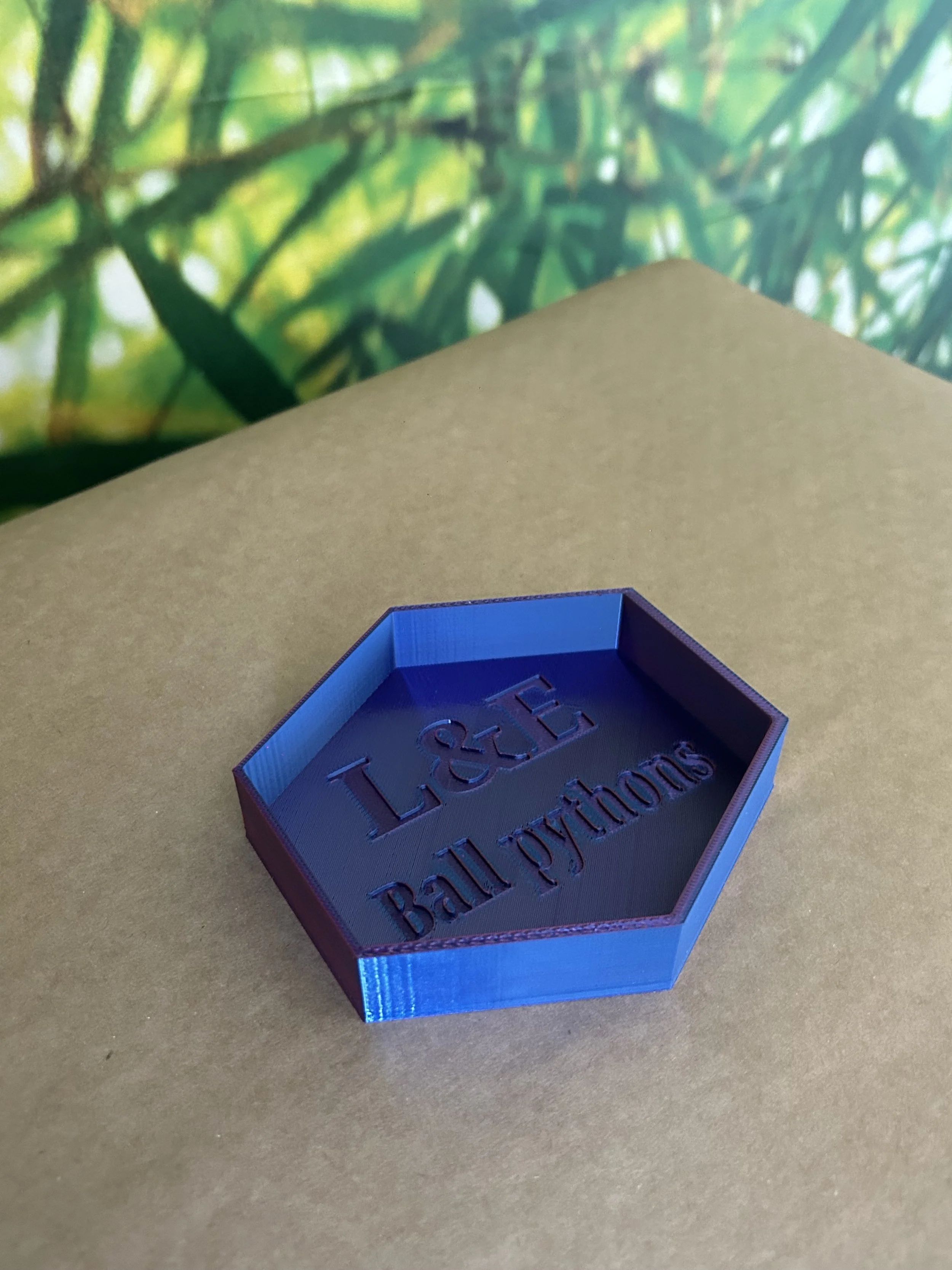 3D printed hexagon reptile bowl - vivarium water and food dish