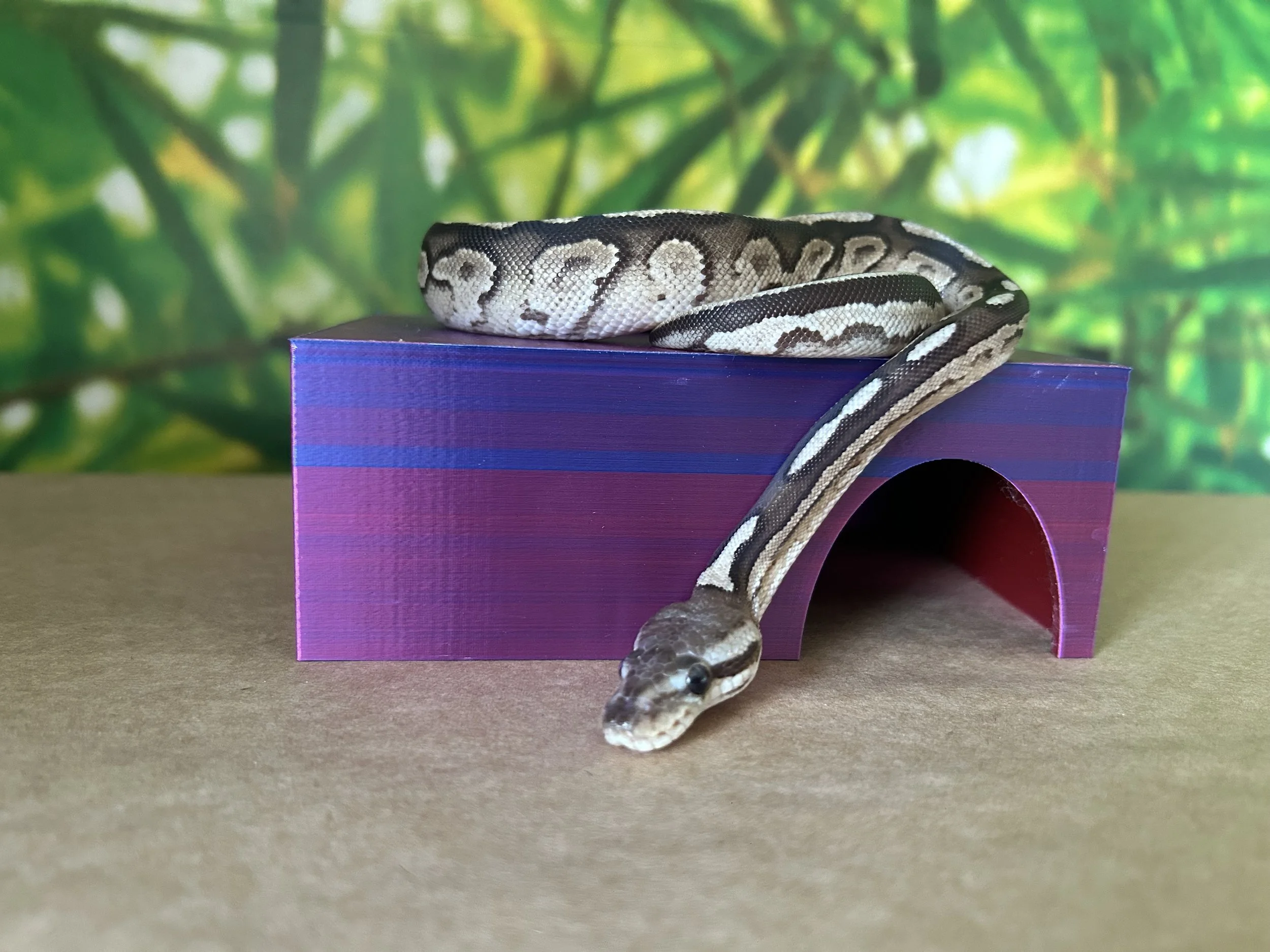 3D printed reptile hide - ball python vivarium shelter