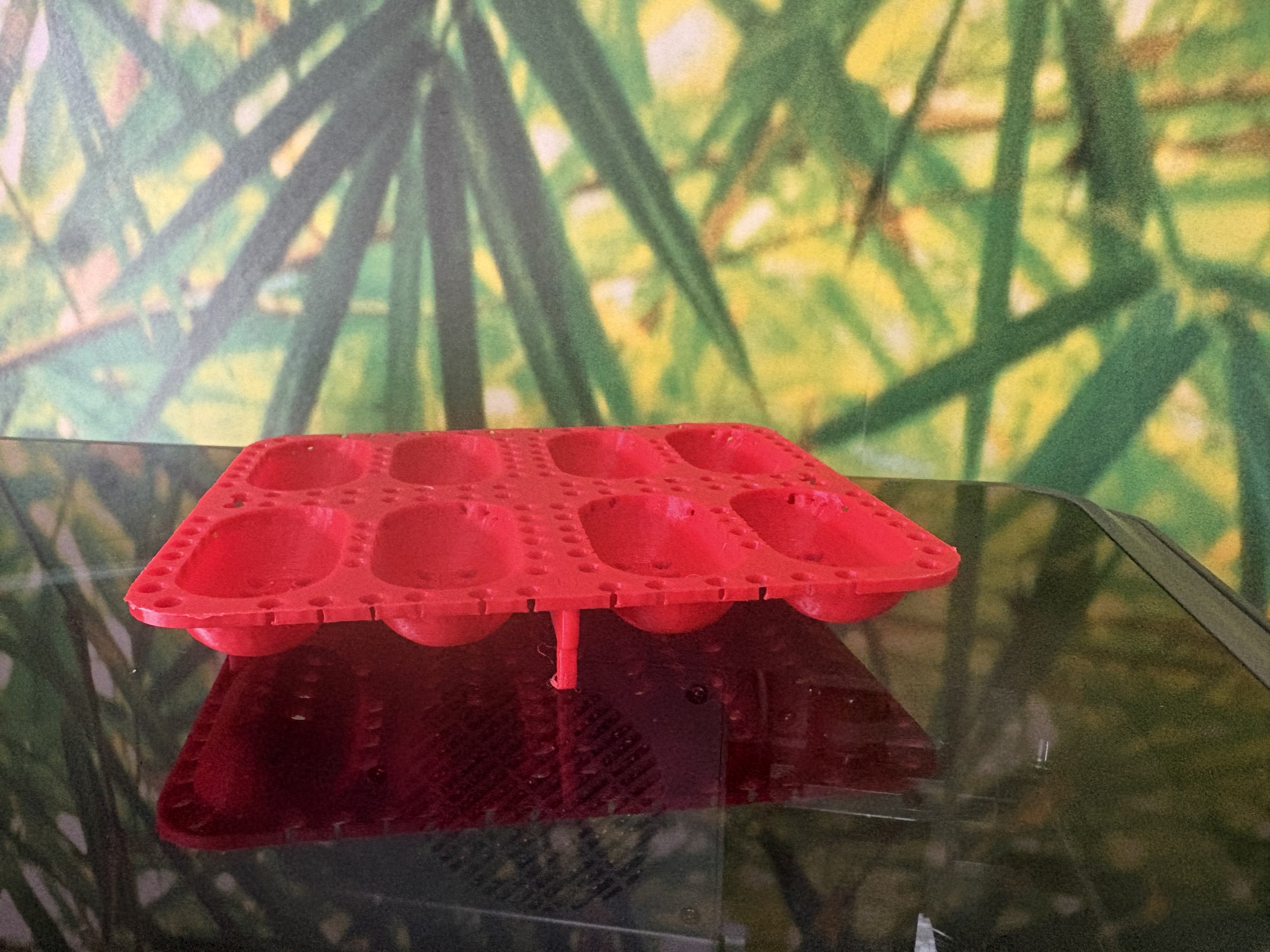 3D printed reptile egg incubation tray - ball python egg holder