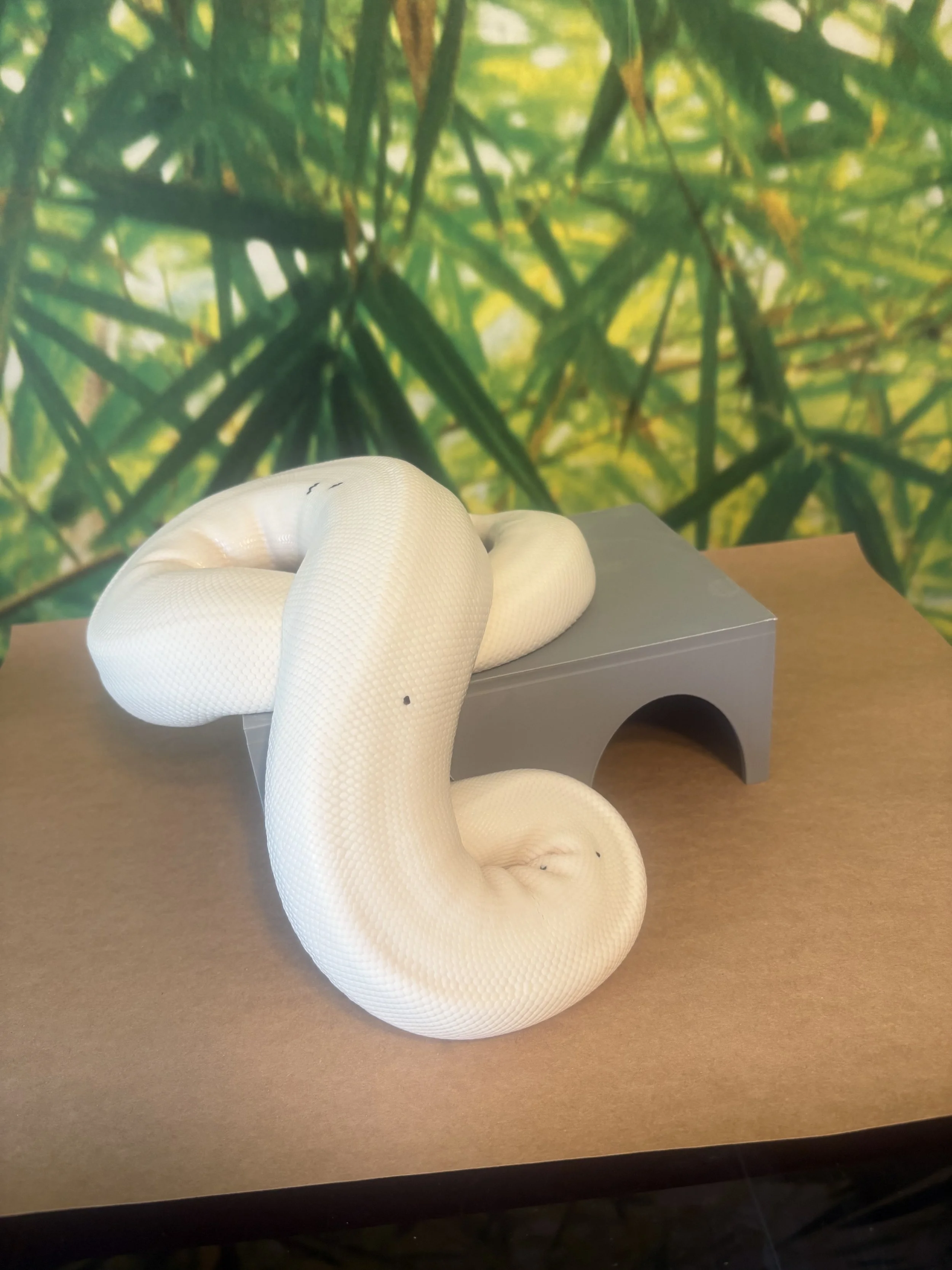 3D printed reptile hide - ball python vivarium shelter