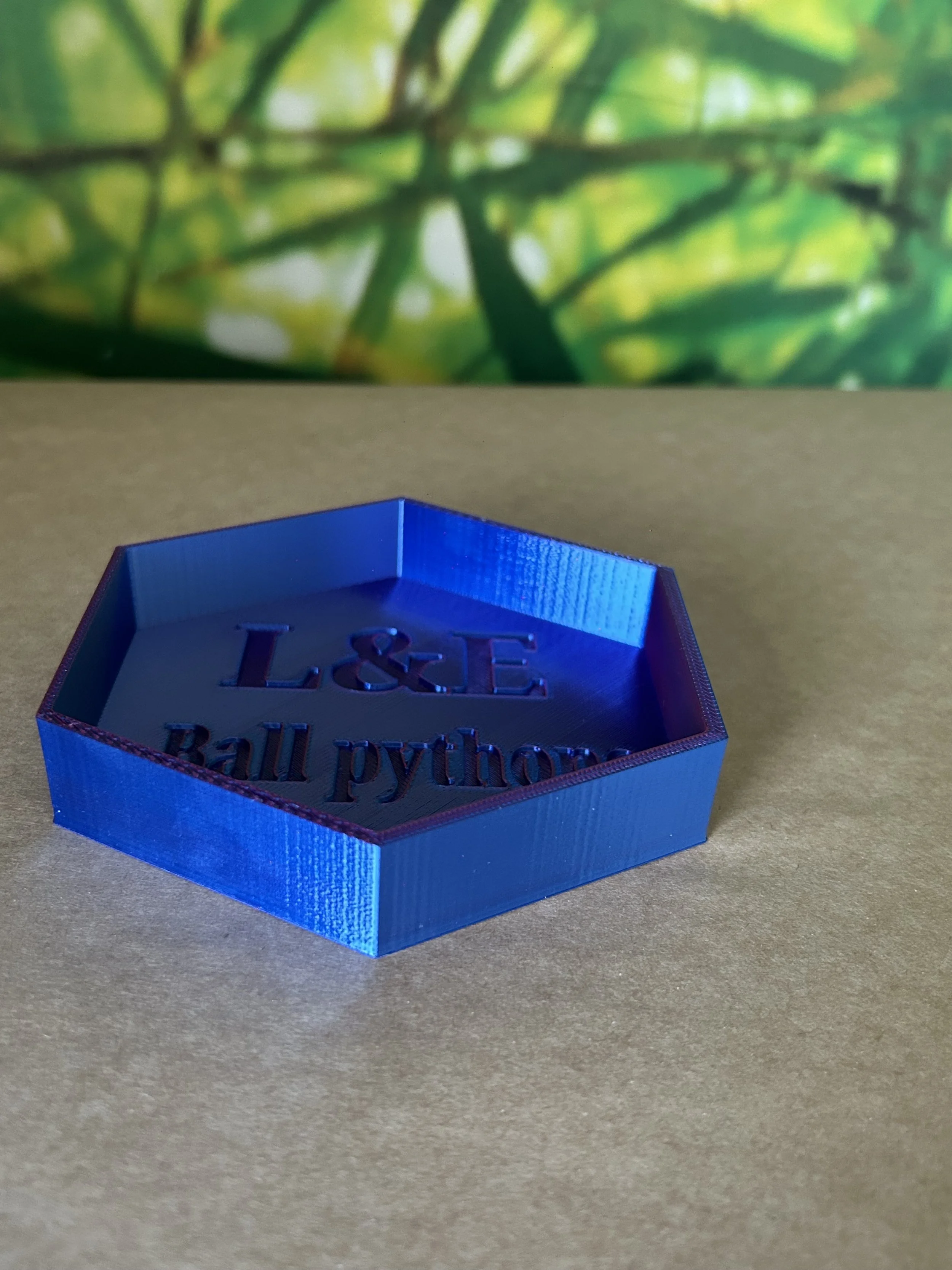 3D printed hexagon reptile bowl - vivarium water and food dish