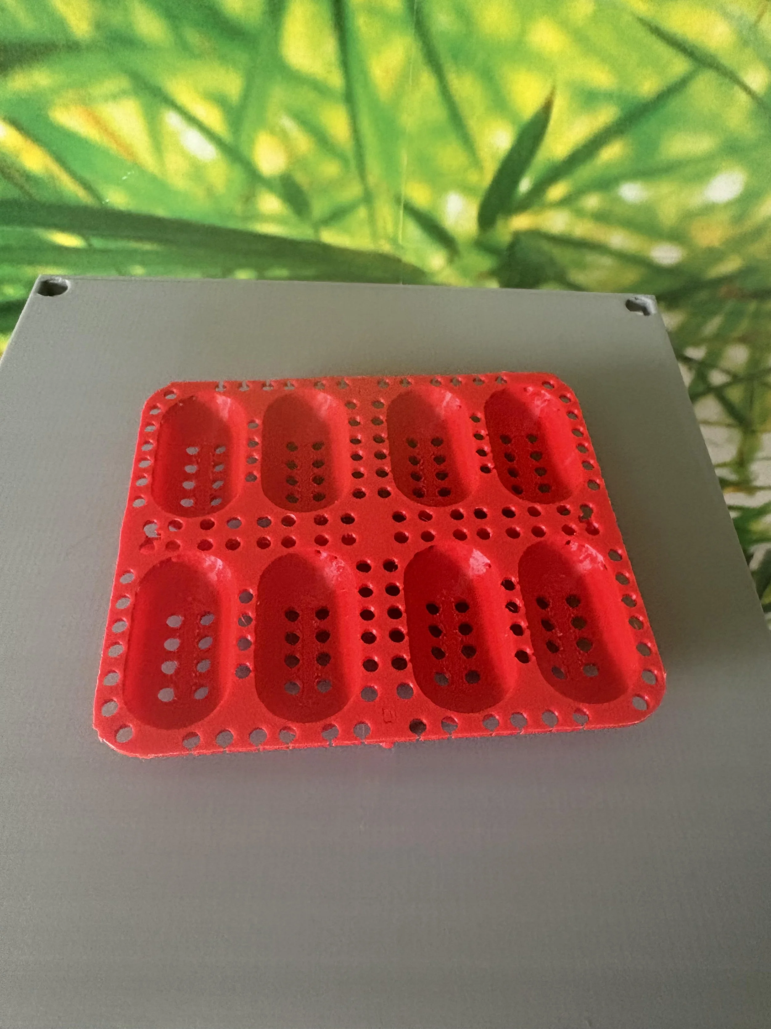 Reptile Egg Incubation Tray — Small (8-Cavity)