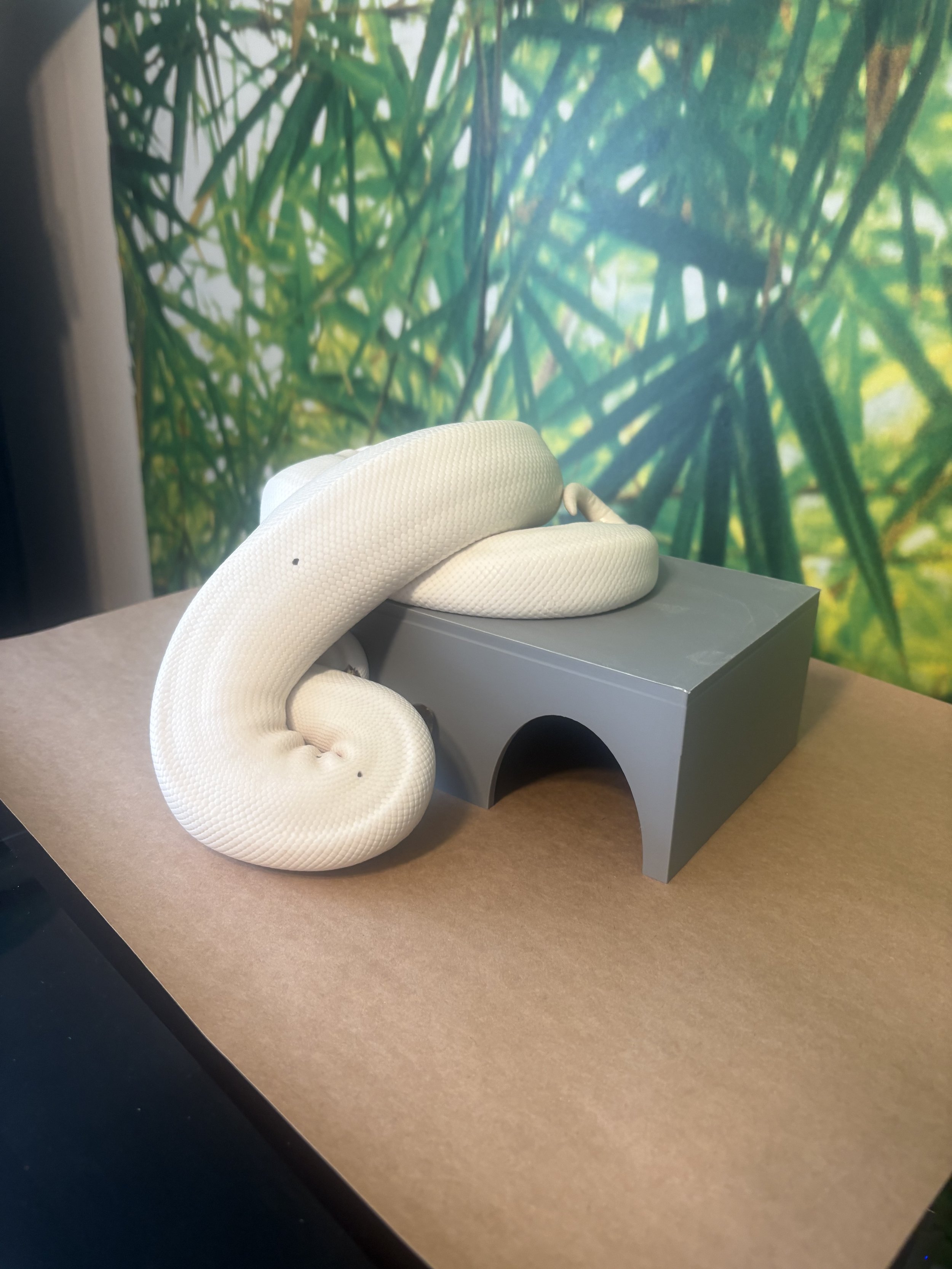3D printed reptile hide - ball python vivarium shelter