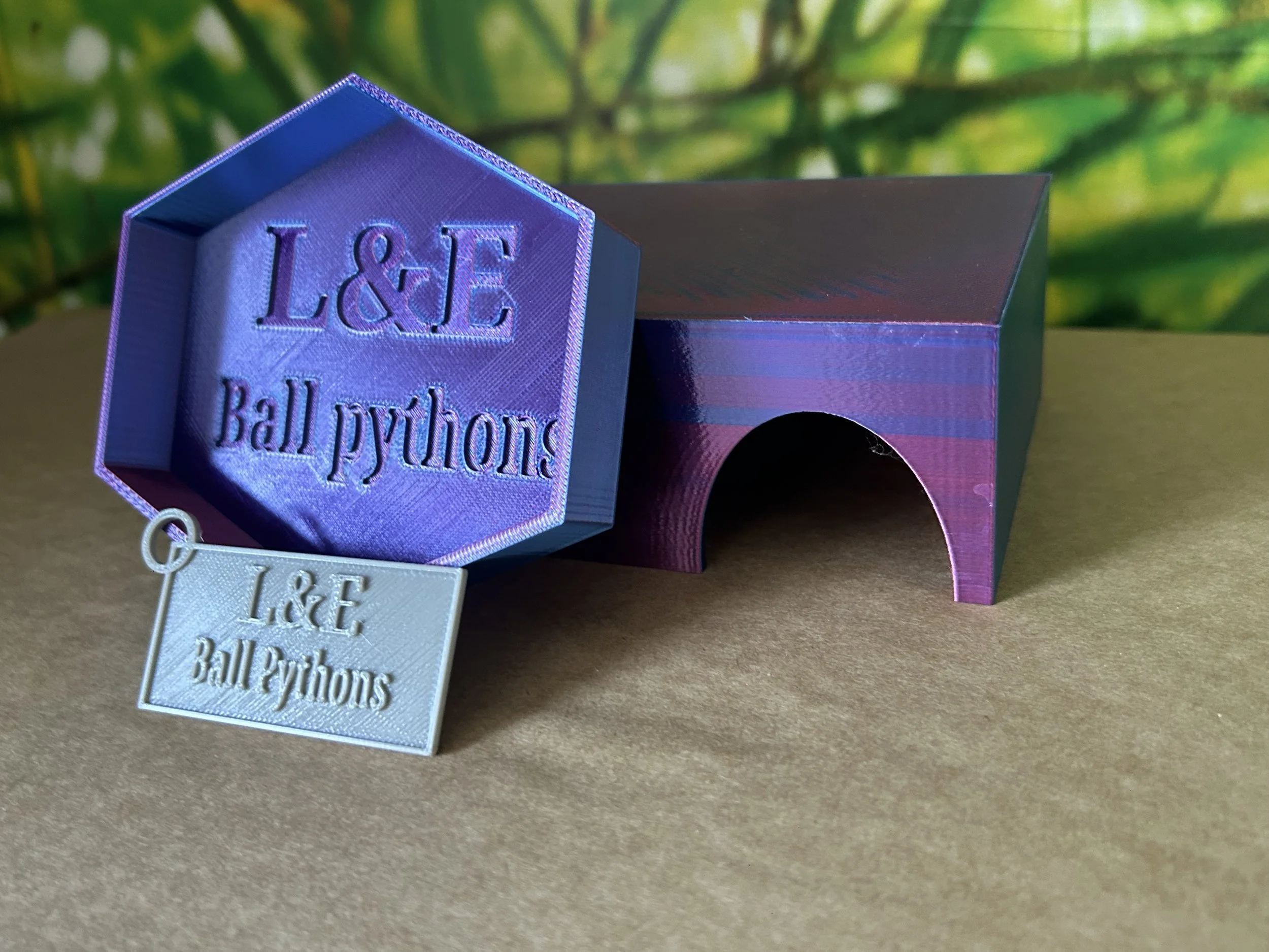 3D printed starter bundle - ball python vivarium accessory set