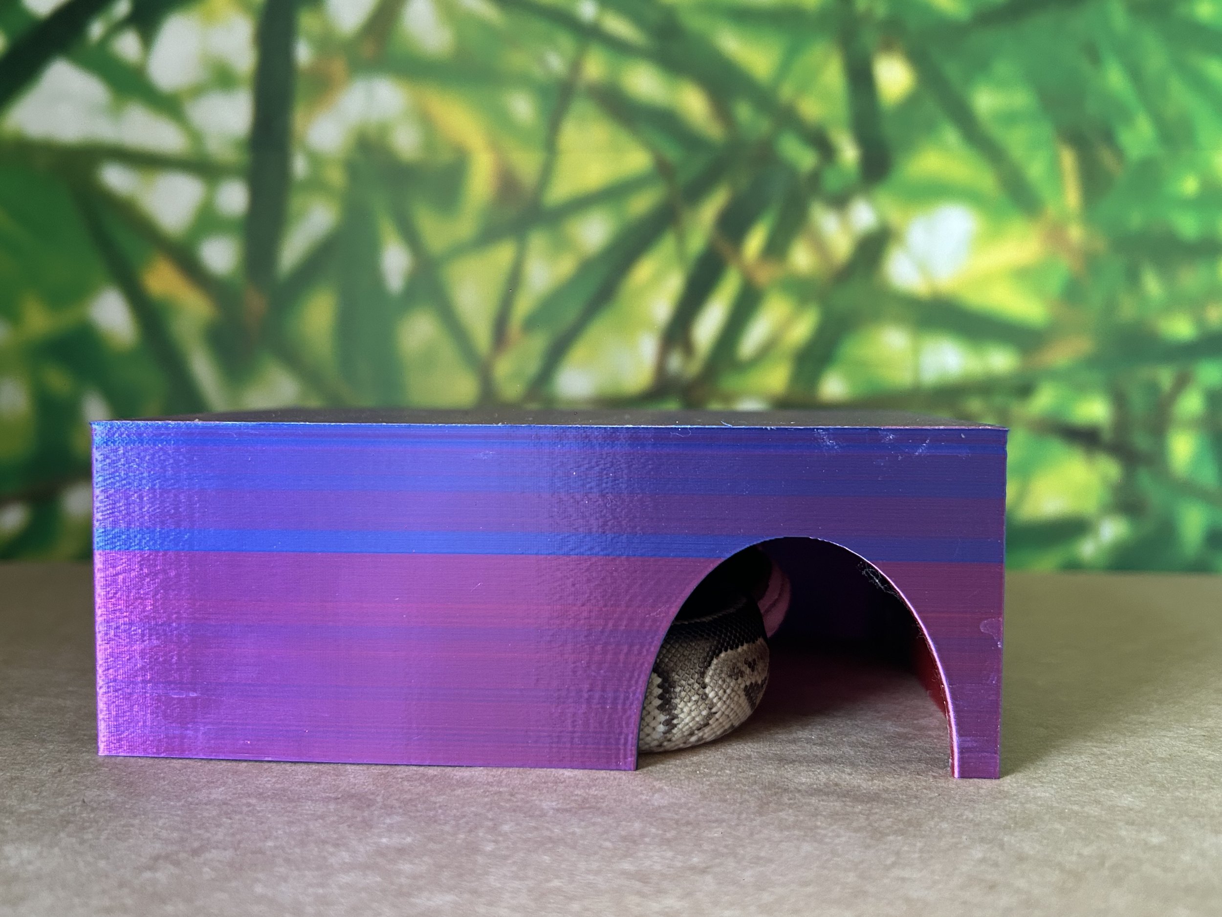 3D printed reptile hide - ball python vivarium shelter