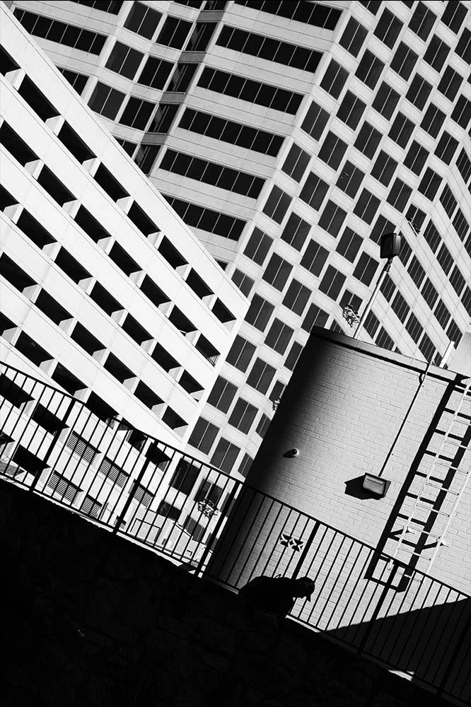 Black and white photo of a cityscape featuring modern high-rise buildings with grid-like windows and a rooftop railing with a silhouette of a person leaning on it.